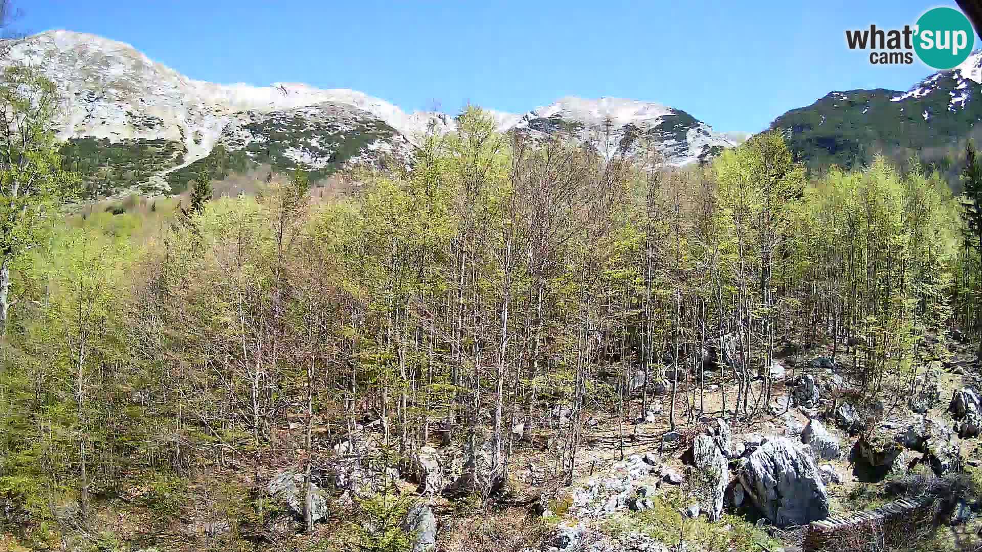 PLANINA RAZOR webcam (1315) | view to Vogel and Globoko