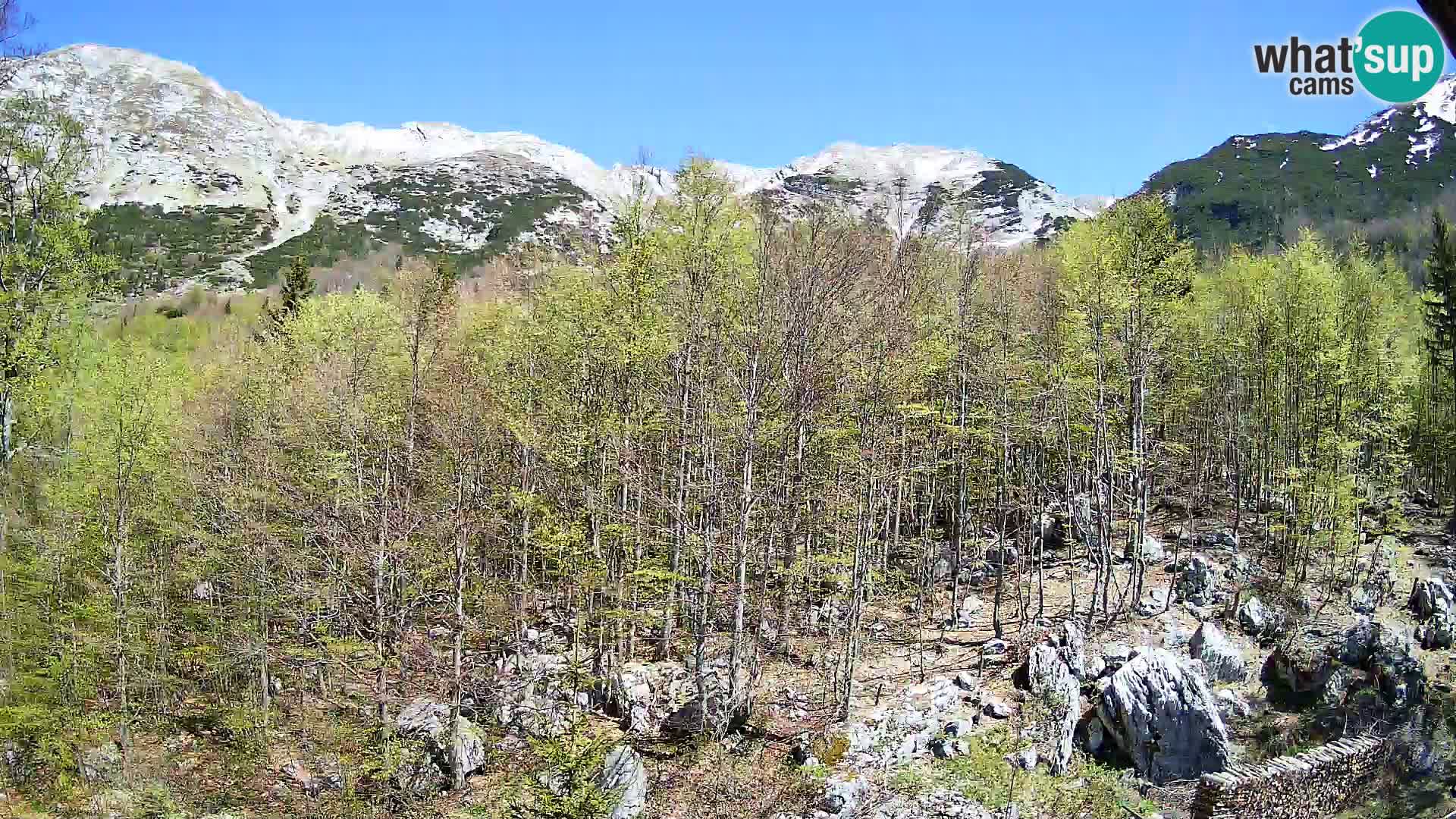 PLANINA RAZOR web kamera (1315) | pogled na Vogel i Globoko