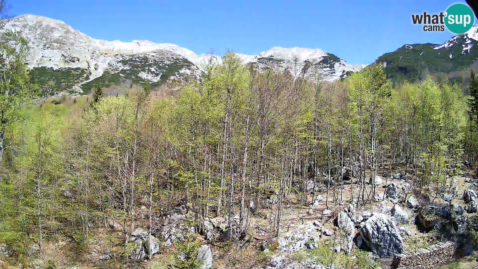 PLANINA RAZOR Live Cam (1315) | vista su Vogel e Globoko