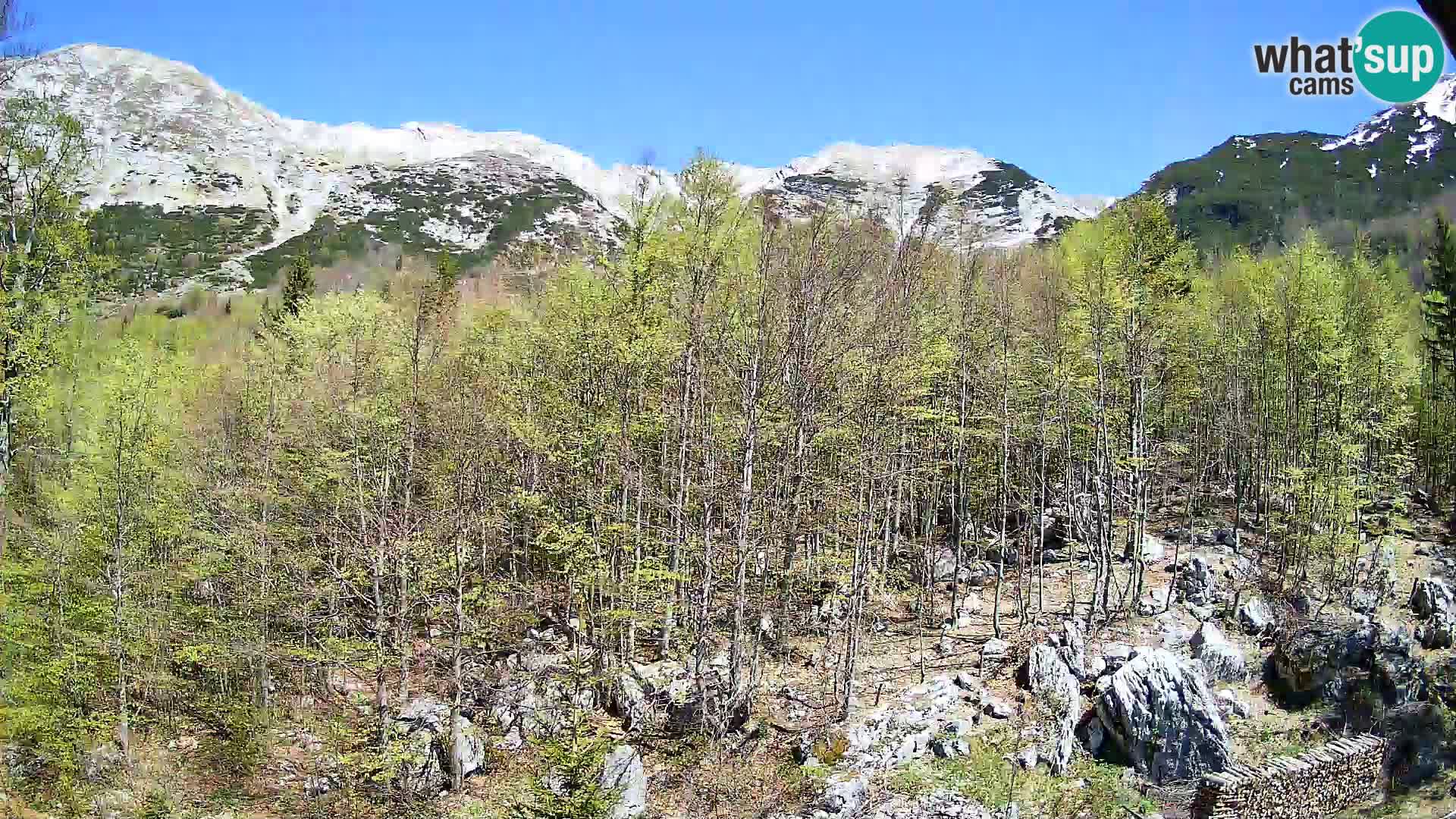 PLANINA RAZOR kamera (1315) | pogled na Vogel in Globoko