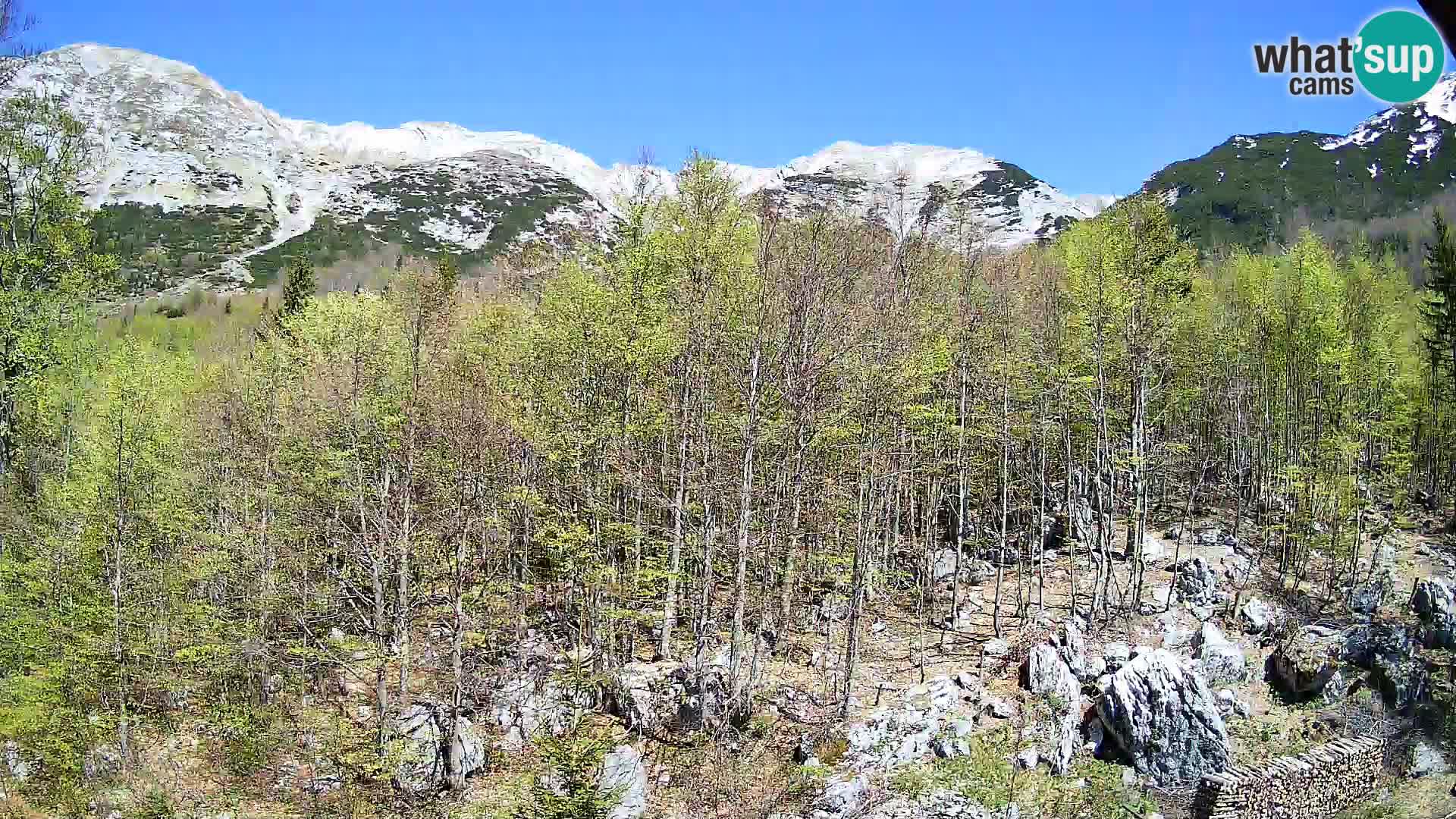 PLANINA RAZOR Live Cam (1315) | vista su Vogel e Globoko