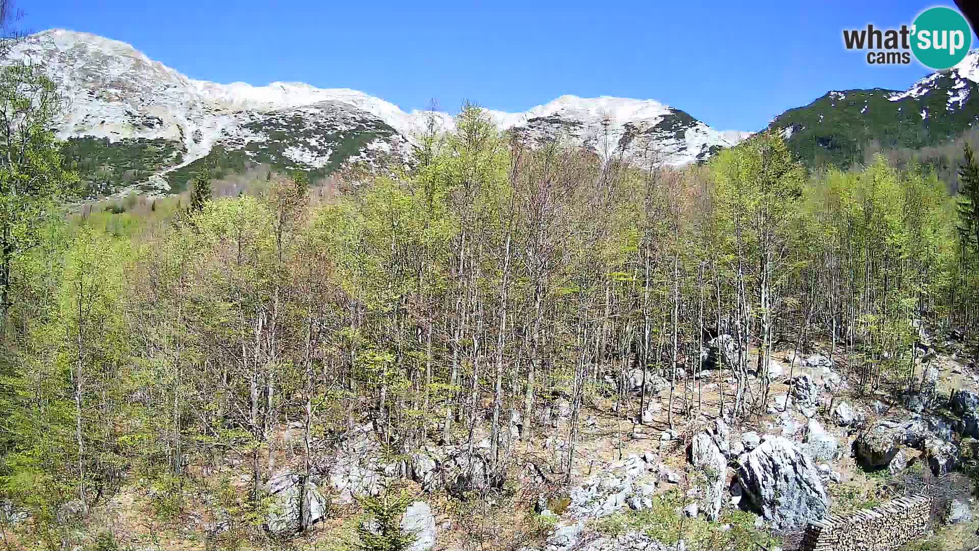 PLANINA RAZOR webcam (1315) | view to Vogel and Globoko