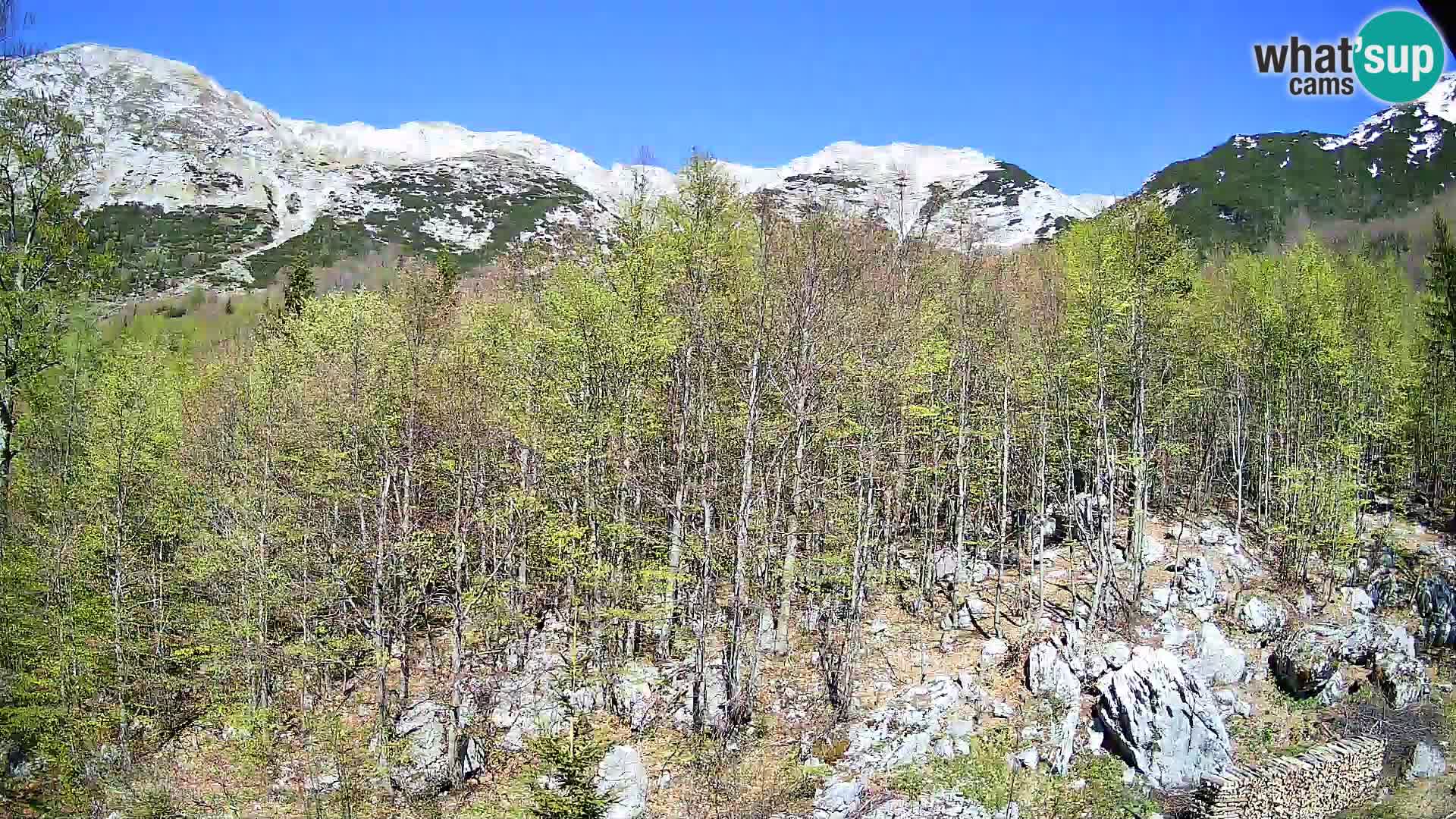 PLANINA RAZOR kamera (1315) | pogled na Vogel in Globoko