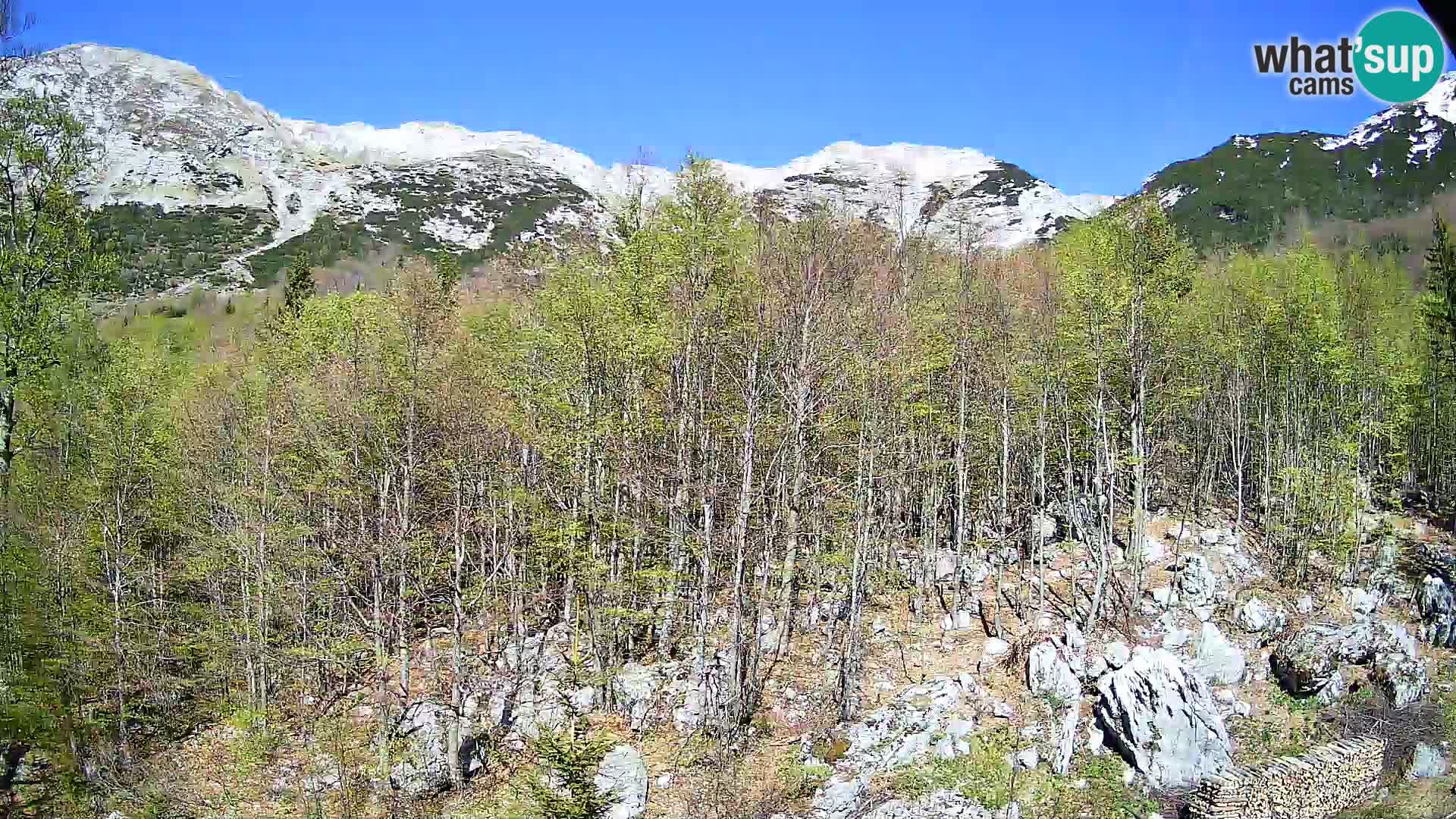 PLANINA RAZOR Live Cam (1315) | vista su Vogel e Globoko