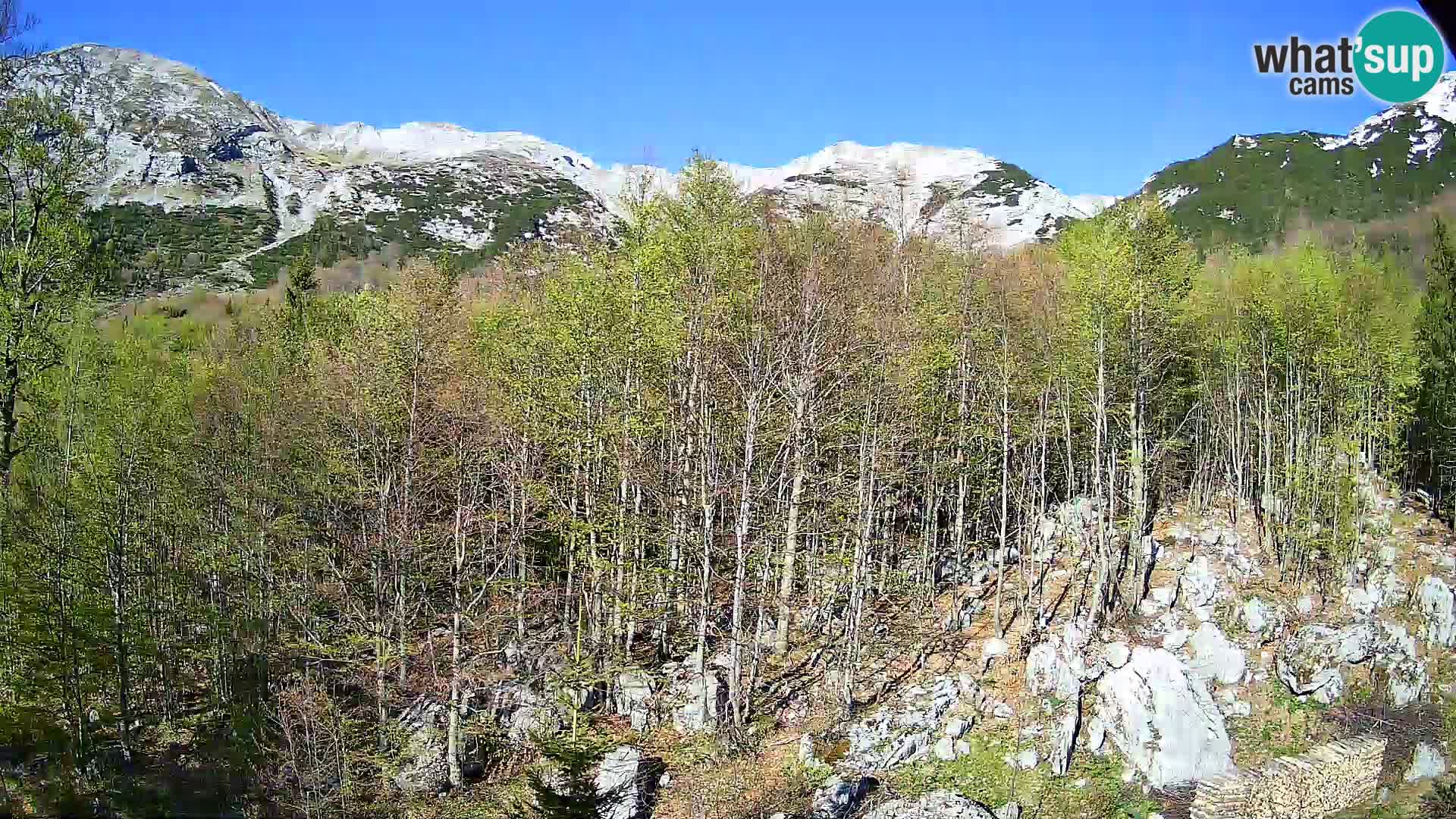 PLANINA RAZOR web kamera (1315) | pogled na Vogel i Globoko