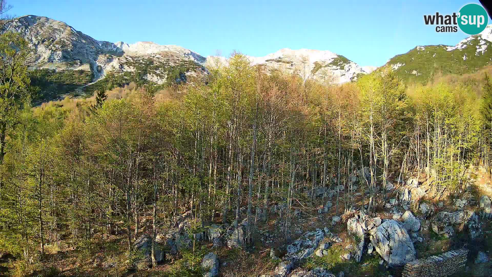 PLANINA RAZOR Live Cam (1315) | vista su Vogel e Globoko