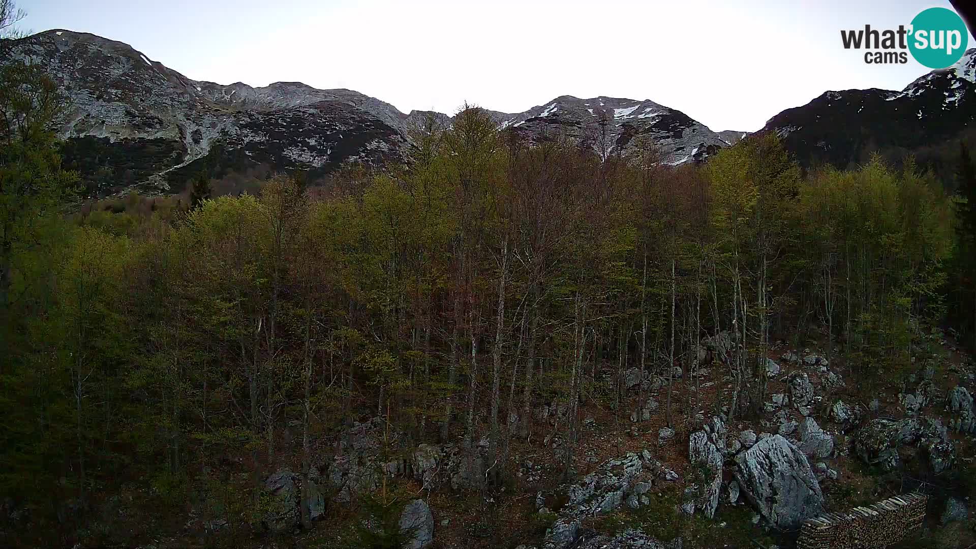 Livecam PLANINA RAZOR (1315) | vue sur Vogel et Globoko