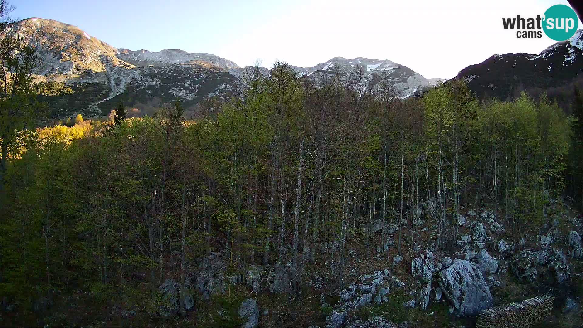 PLANINA RAZOR Live Cam (1315) | vista su Vogel e Globoko
