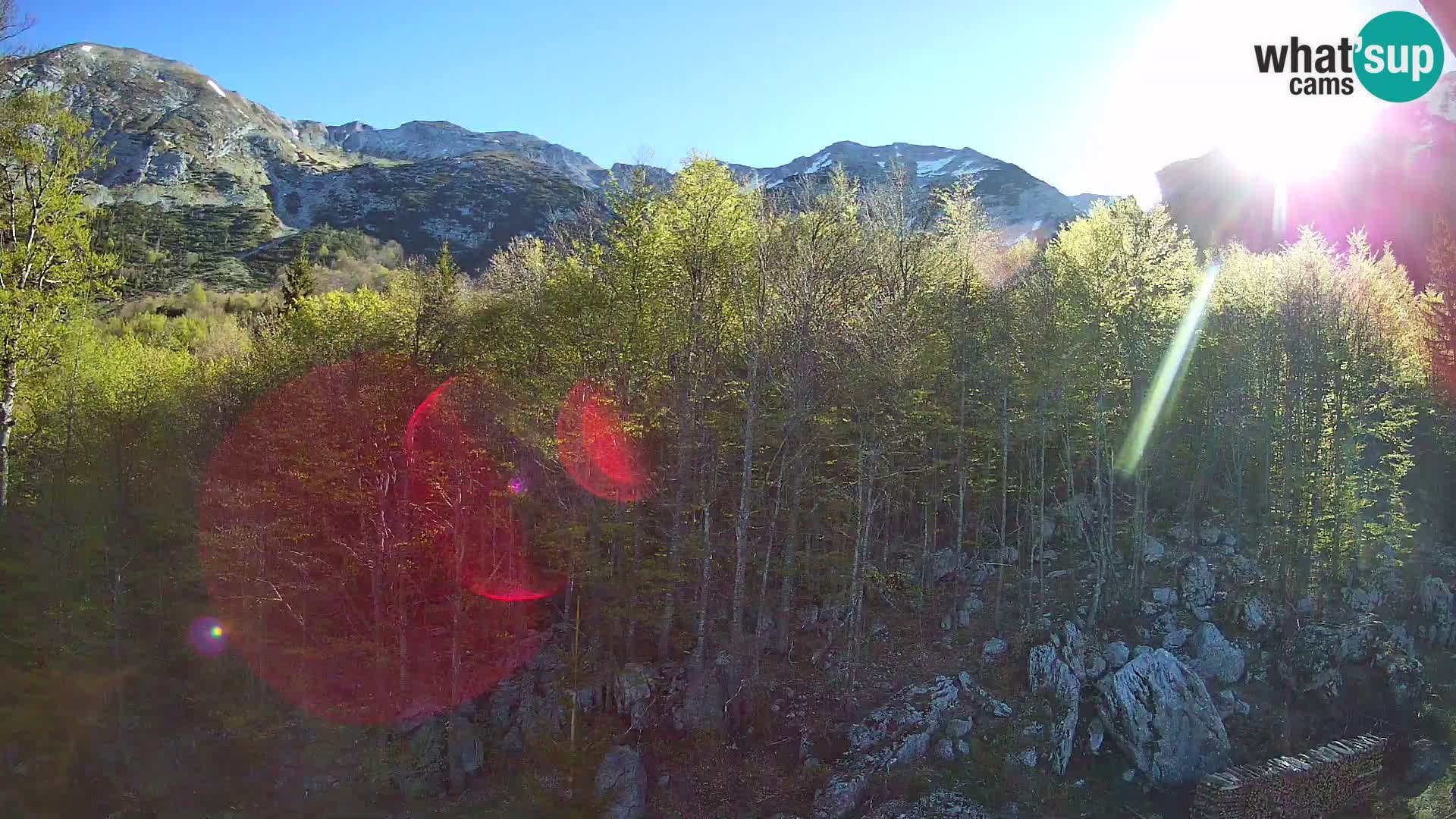 Webcam PLANINA RAZOR (1315) | Blick auf Vogel und Globoko