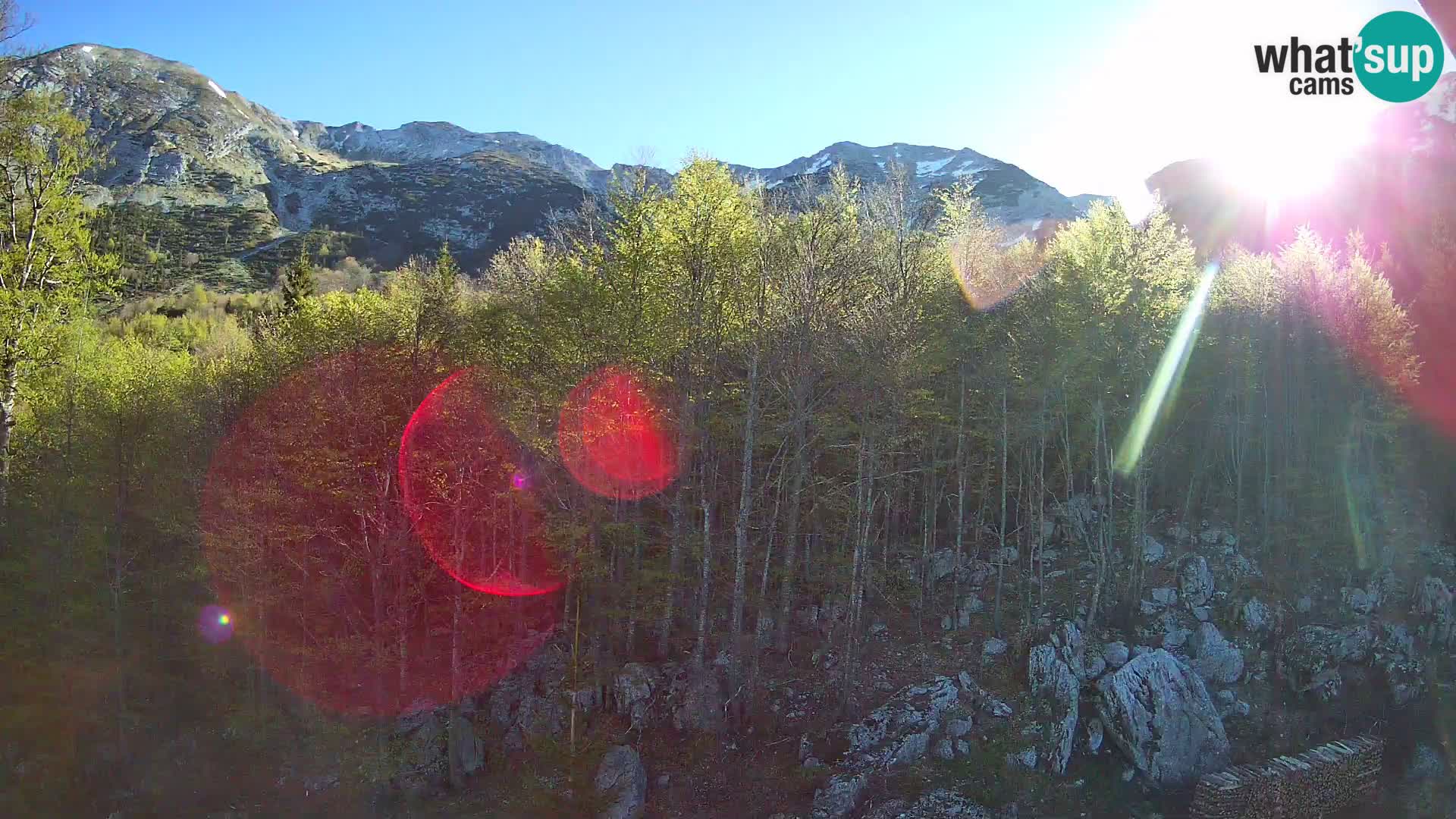 PLANINA RAZOR web kamera (1315) | pogled na Vogel i Globoko