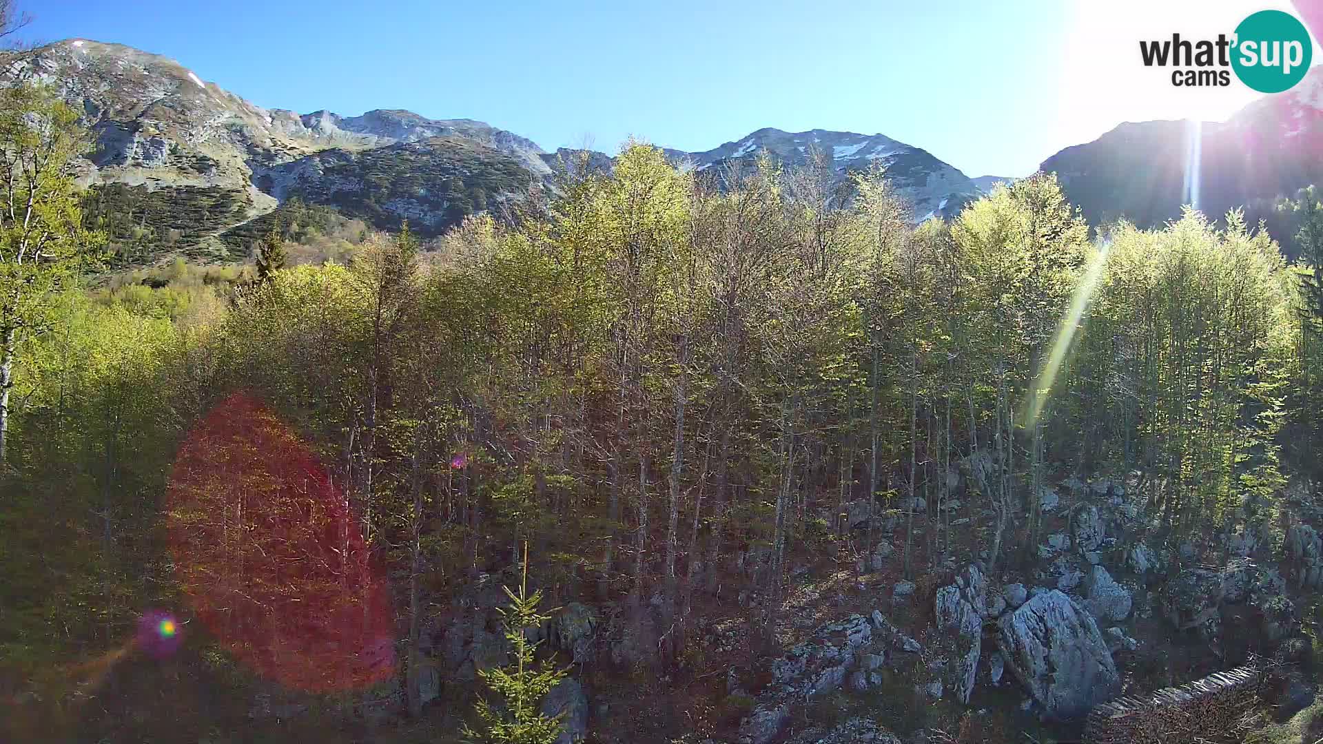 PLANINA RAZOR webcam (1315) | view to Vogel and Globoko