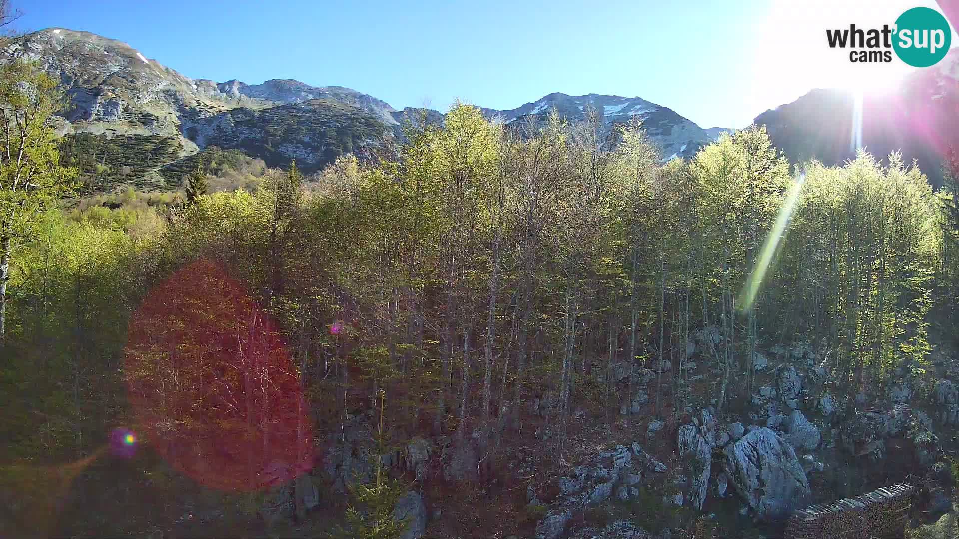PLANINA RAZOR webcam (1315) | view to Vogel and Globoko
