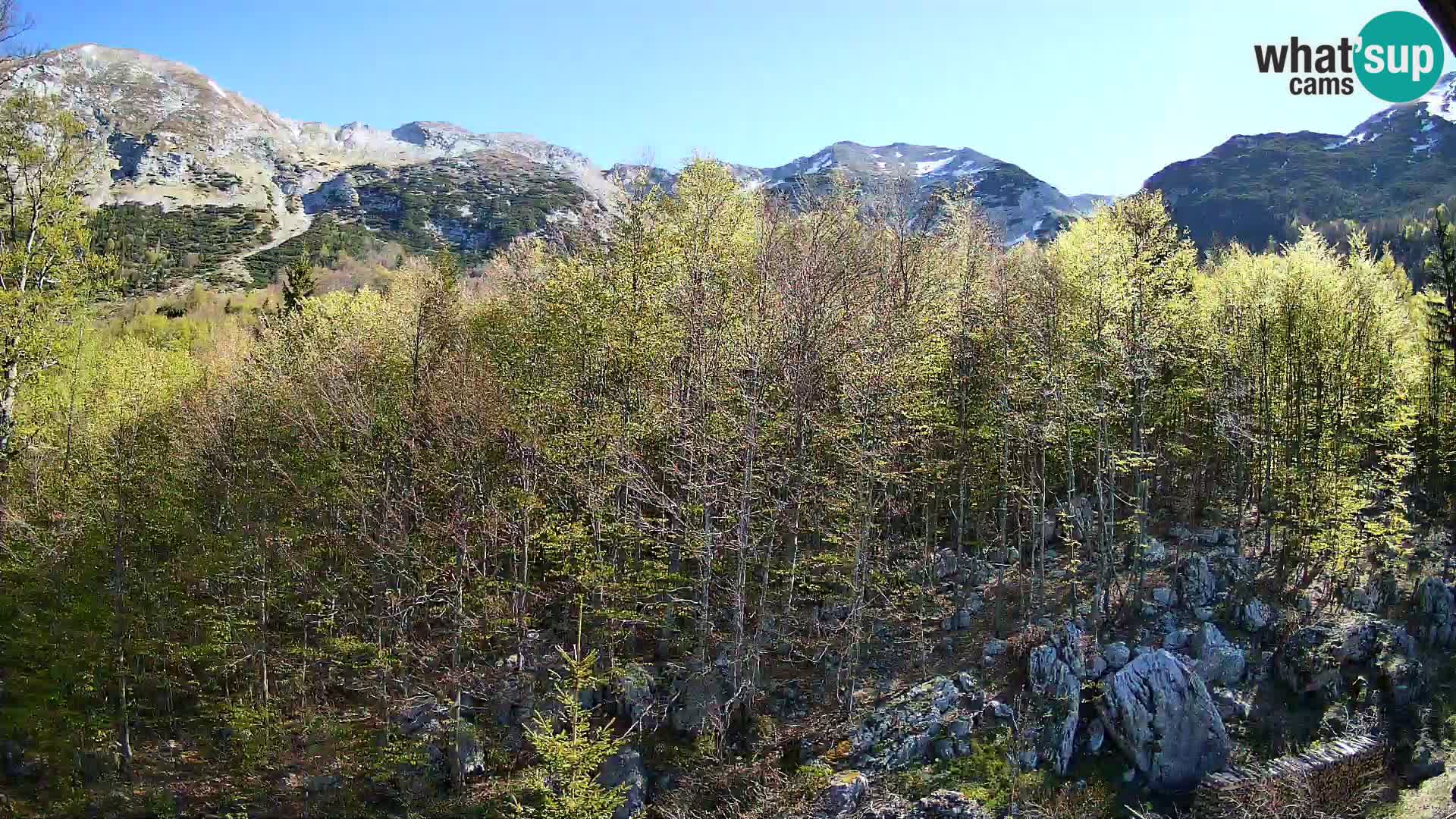 PLANINA RAZOR web kamera (1315) | pogled na Vogel i Globoko