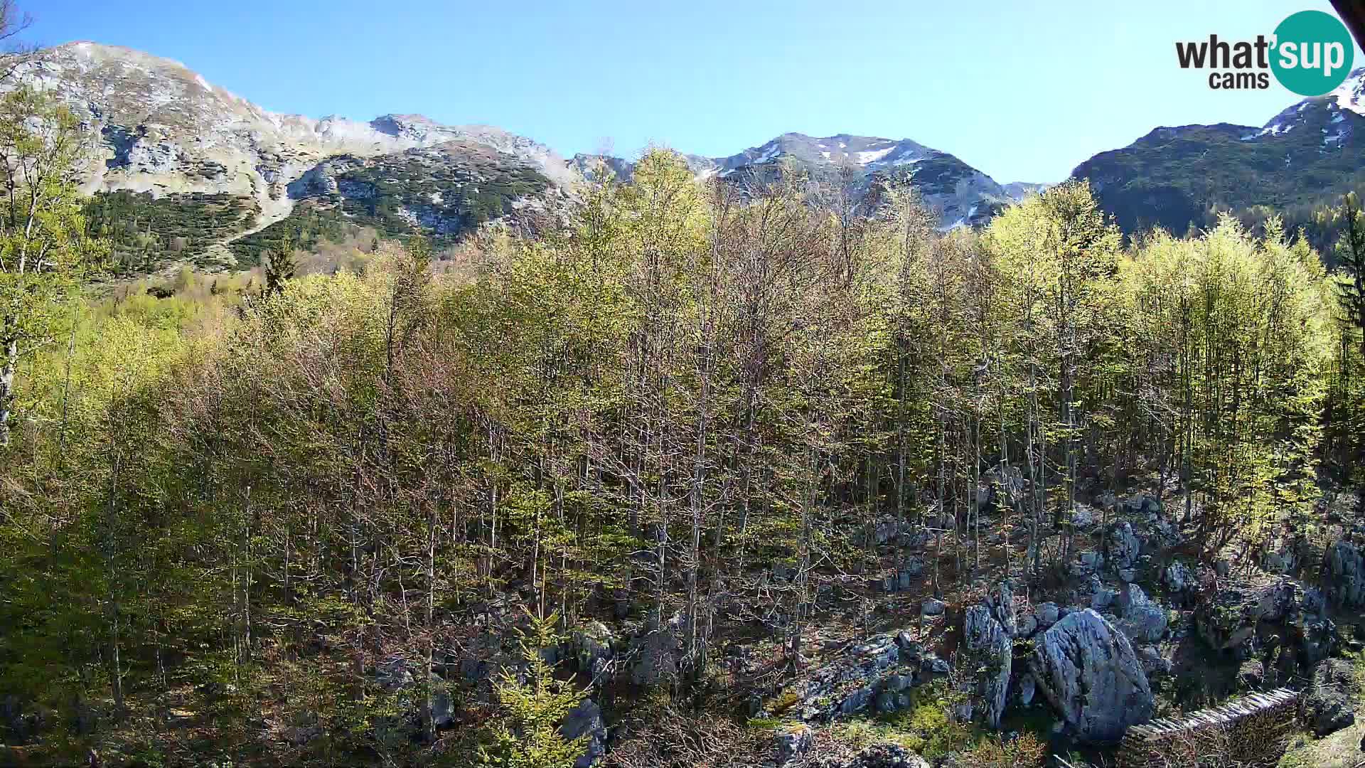 Cámara web PLANINA RAZOR (1315) | vista a Vogel y Globoko