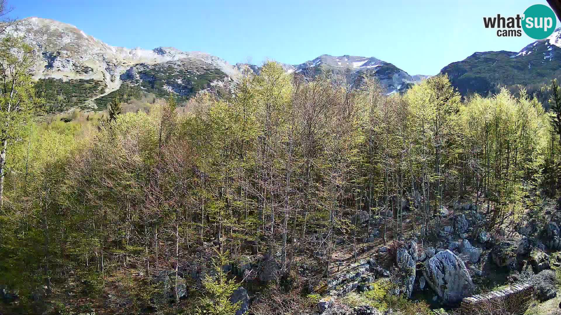 PLANINA RAZOR web kamera (1315) | pogled na Vogel i Globoko