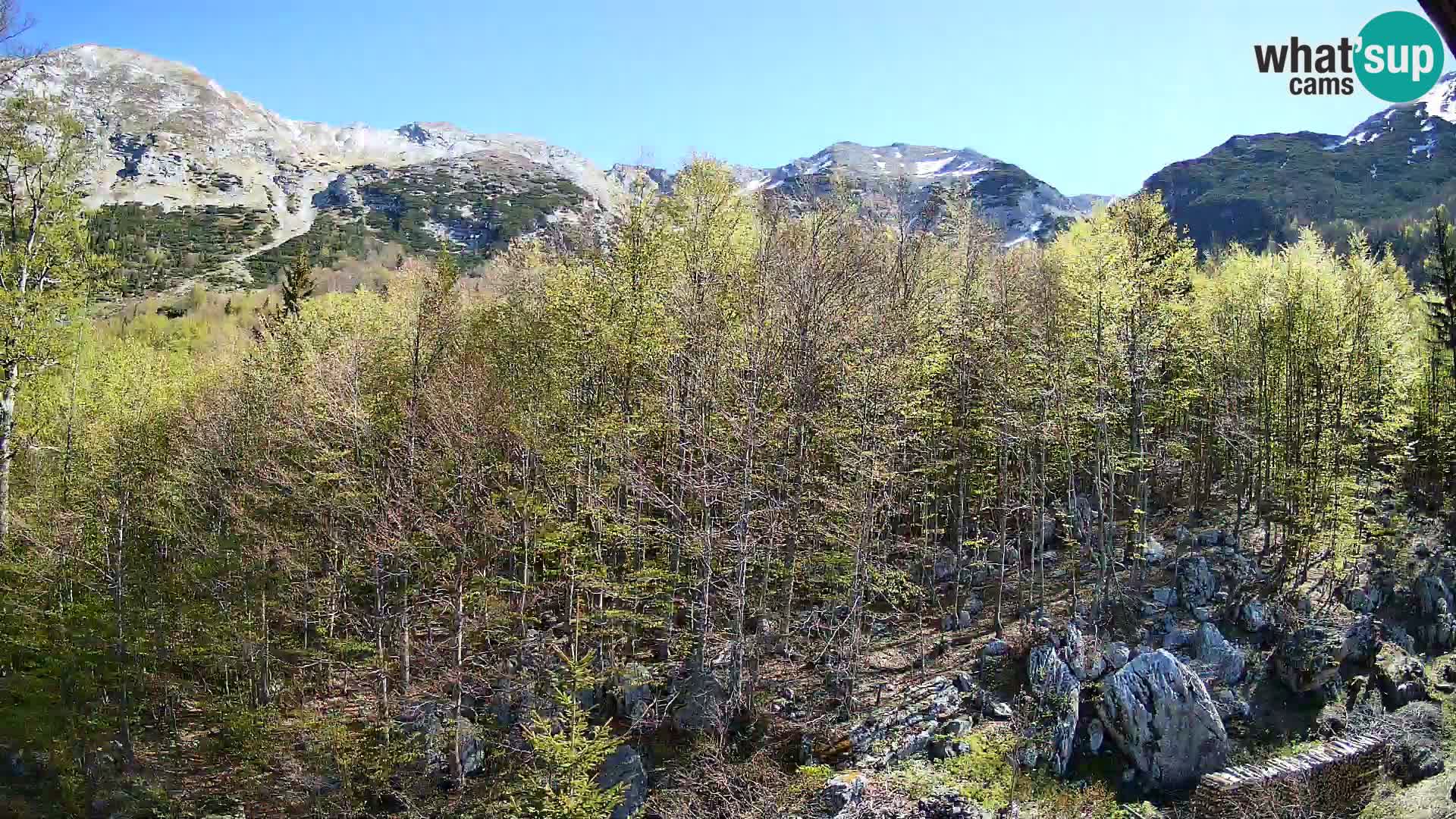 Cámara web PLANINA RAZOR (1315) | vista a Vogel y Globoko
