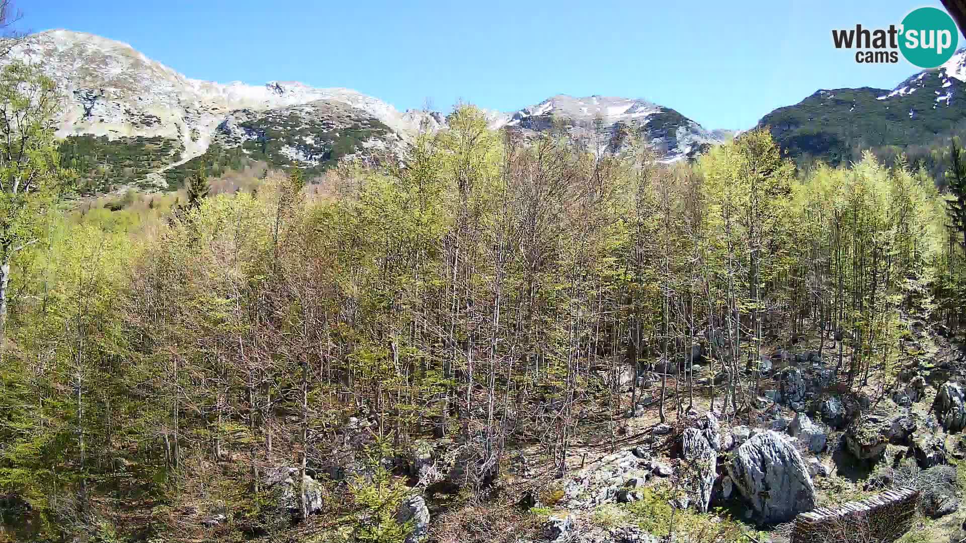 PLANINA RAZOR Live Cam (1315) | vista su Vogel e Globoko