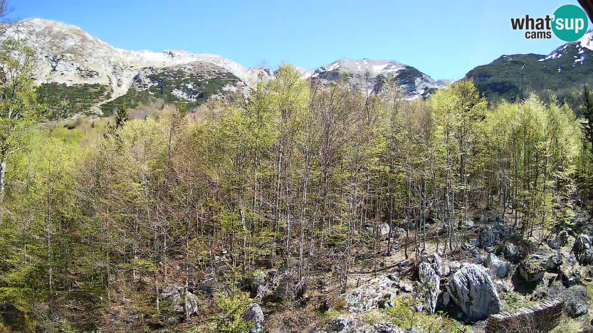 Livecam PLANINA RAZOR (1315) | vue sur Vogel et Globoko