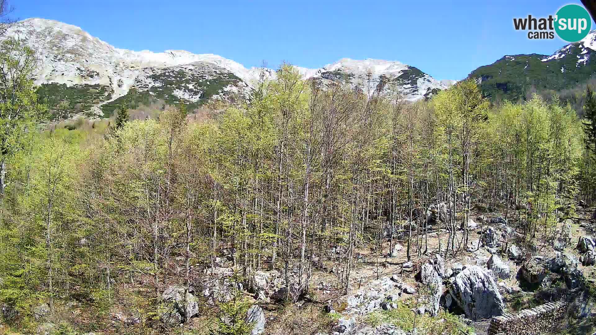 PLANINA RAZOR webcam (1315) | view to Vogel and Globoko