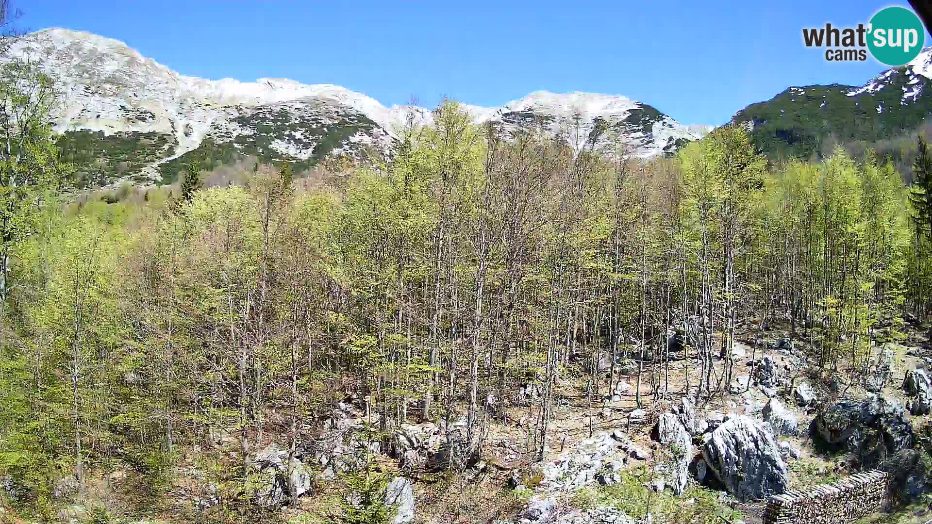PLANINA RAZOR kamera (1315) | pogled na Vogel in Globoko