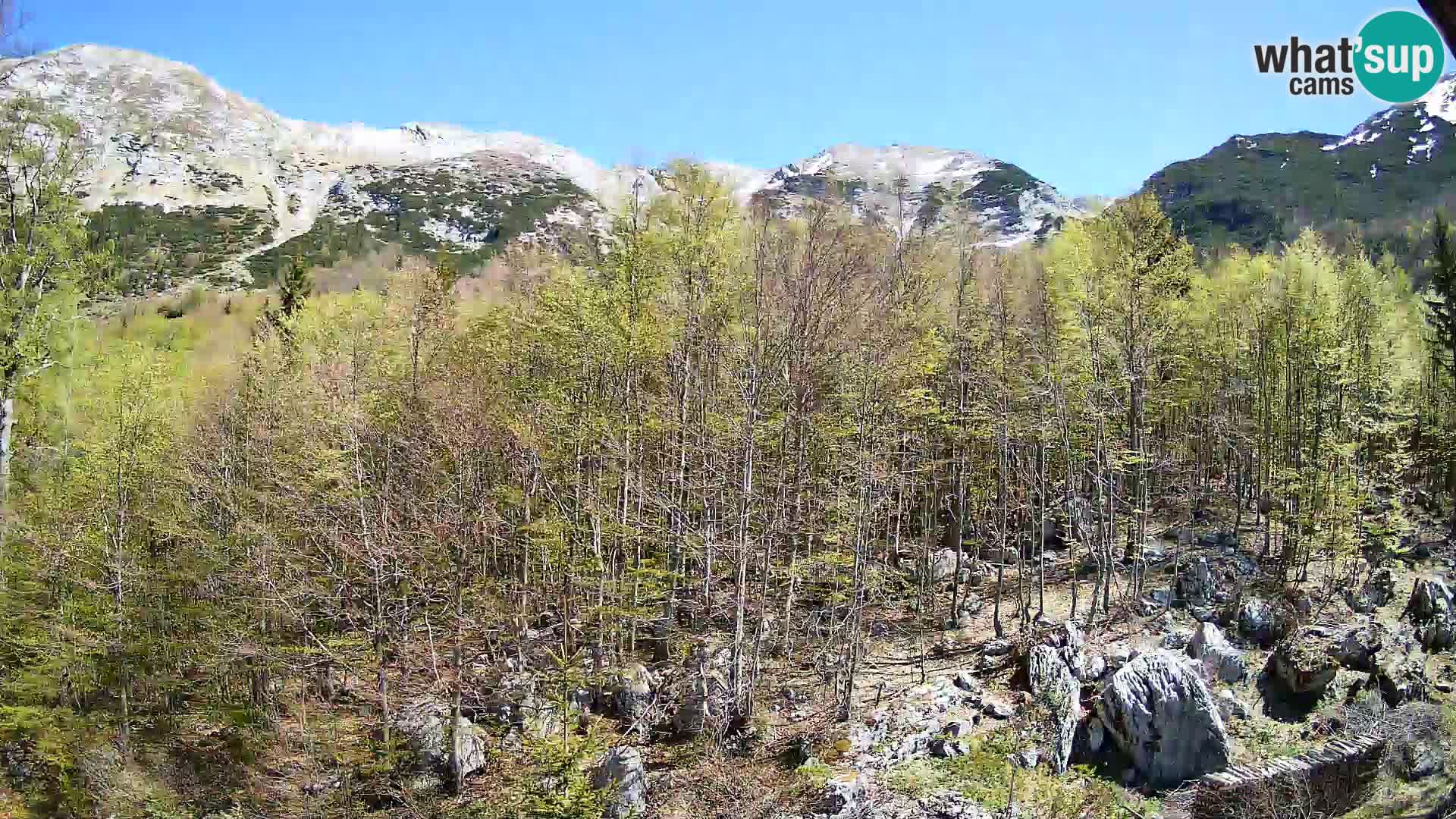 PLANINA RAZOR webcam (1315) | view to Vogel and Globoko