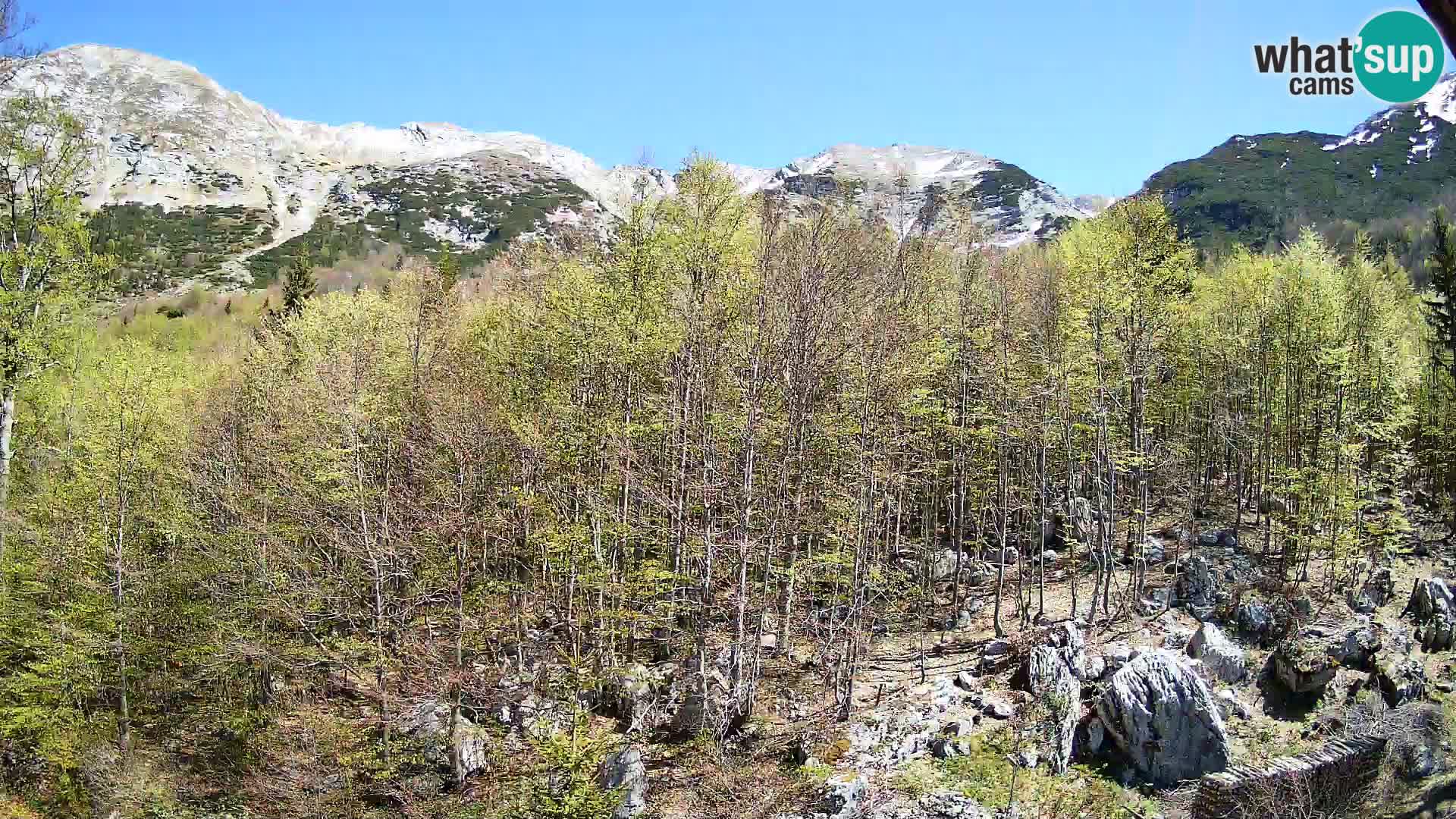 PLANINA RAZOR webcam (1315) | view to Vogel and Globoko