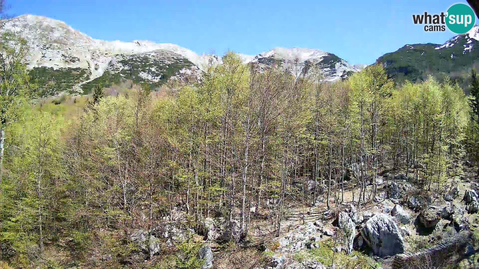 PLANINA RAZOR web kamera (1315) | pogled na Vogel i Globoko