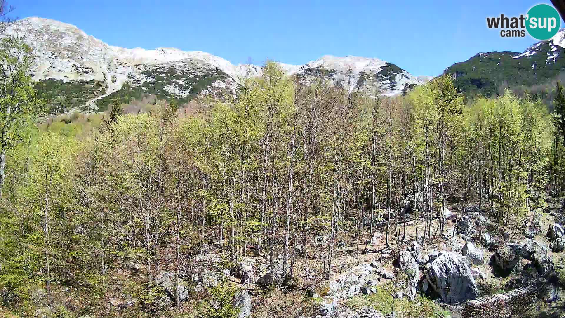 PLANINA RAZOR webcam (1315) | view to Vogel and Globoko