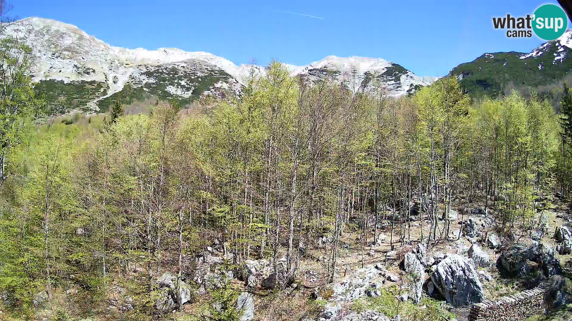 PLANINA RAZOR webcam (1315) | view to Vogel and Globoko