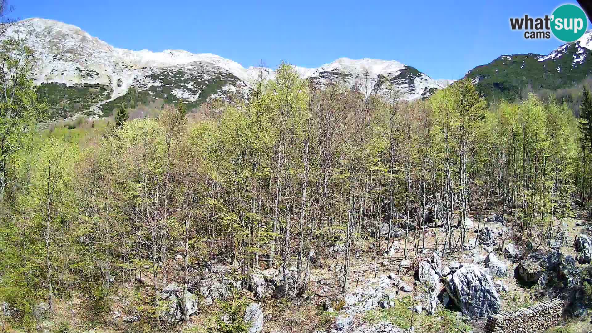Livecam PLANINA RAZOR (1315) | vue sur Vogel et Globoko