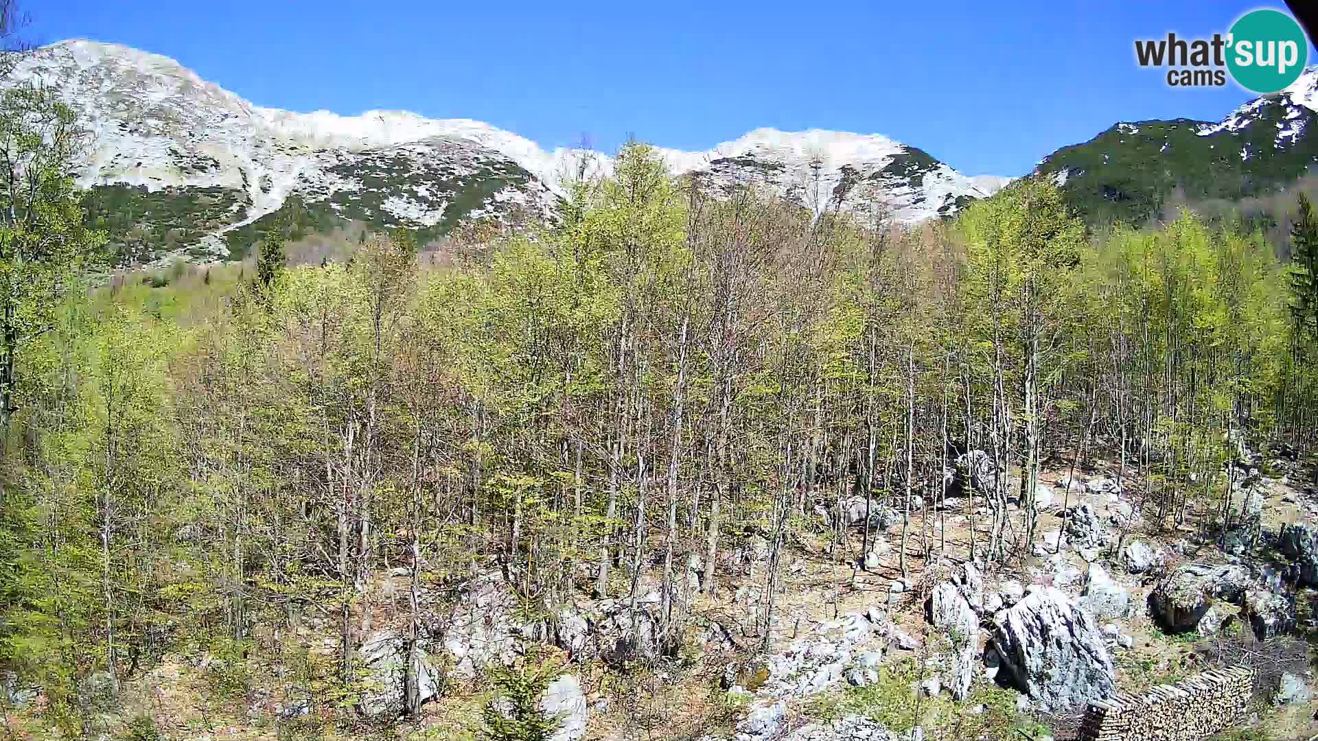 Livecam PLANINA RAZOR (1315) | vue sur Vogel et Globoko