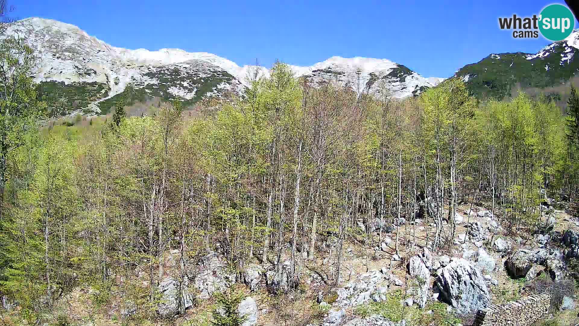 Cámara web PLANINA RAZOR (1315) | vista a Vogel y Globoko