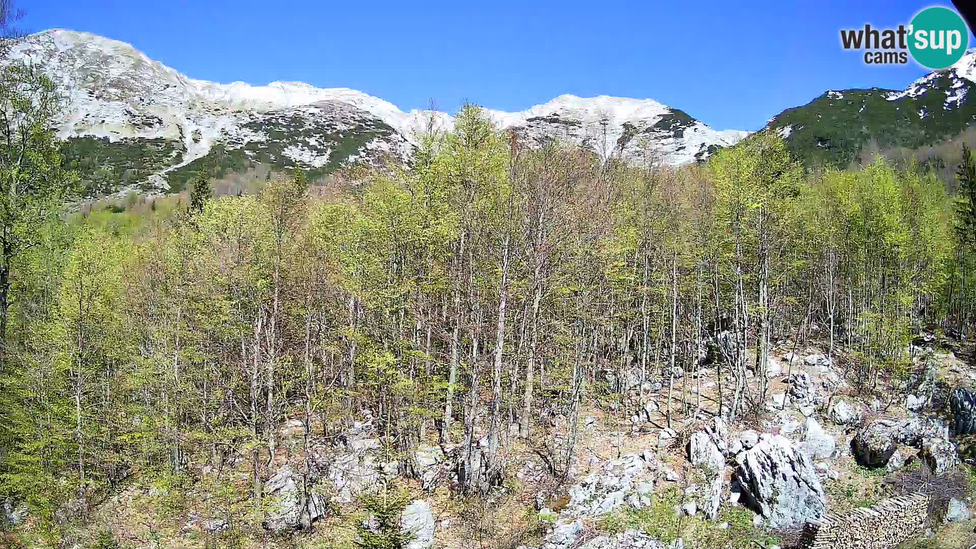 Cámara web PLANINA RAZOR (1315) | vista a Vogel y Globoko