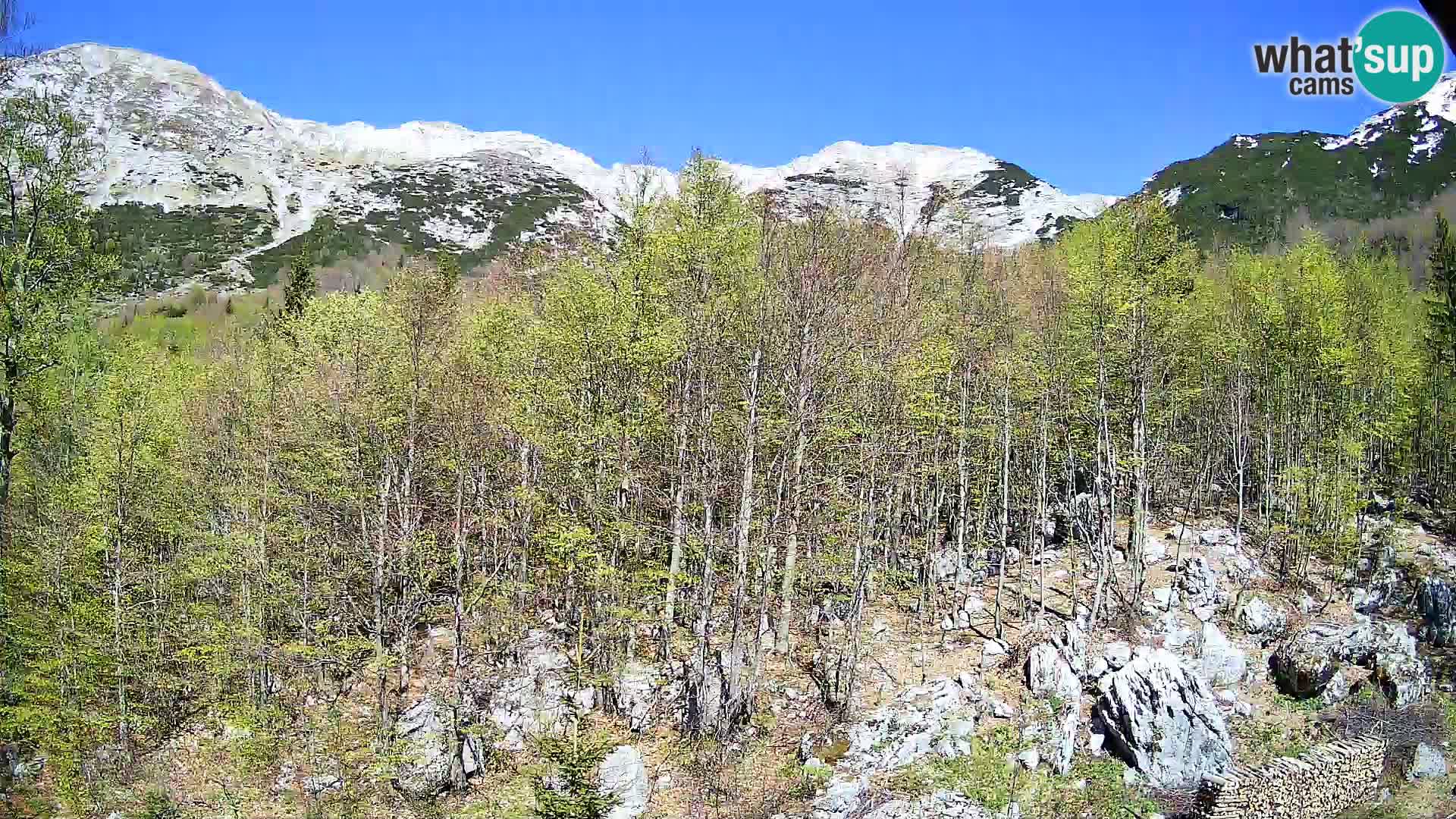 PLANINA RAZOR webcam (1315) | view to Vogel and Globoko