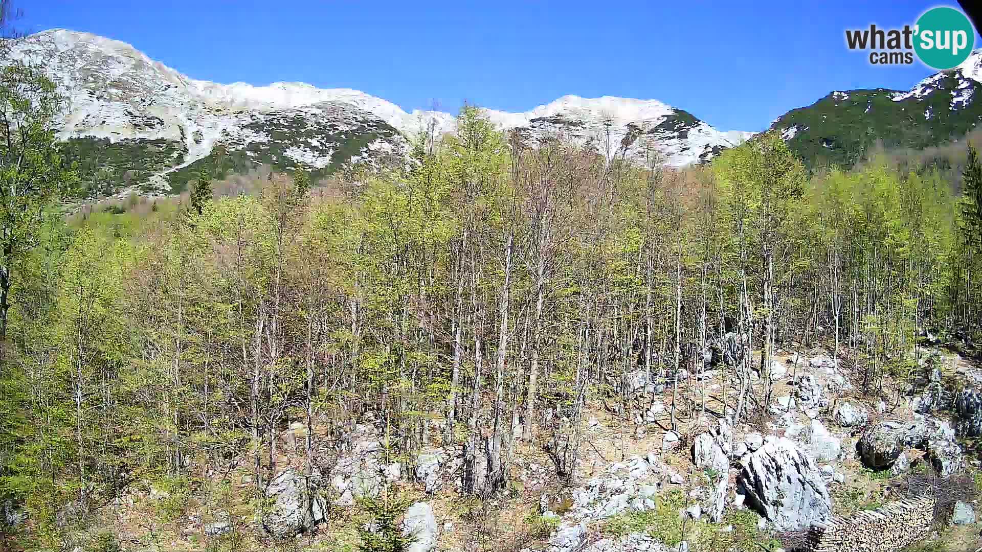 Cámara web PLANINA RAZOR (1315) | vista a Vogel y Globoko