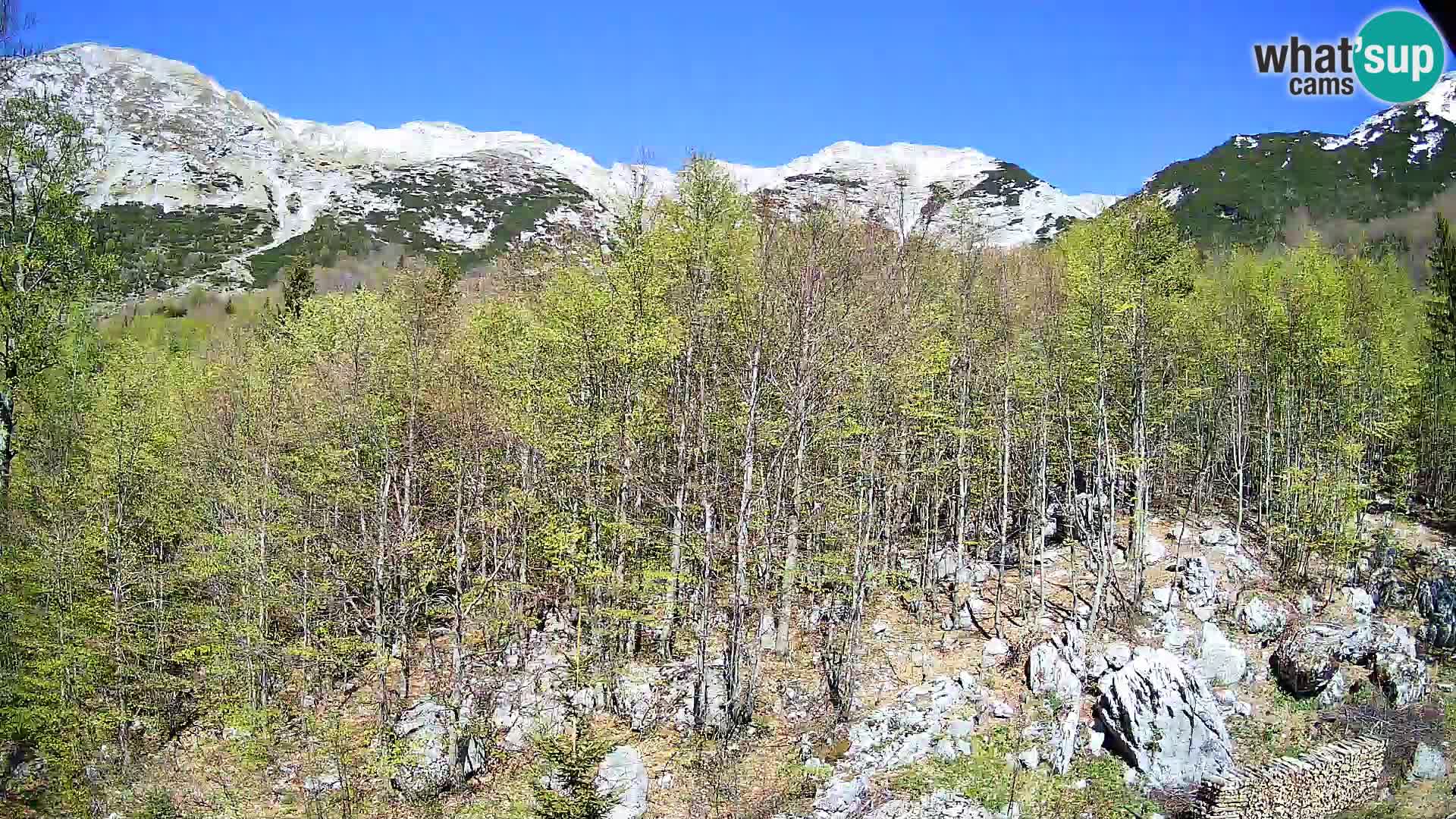 Webcam PLANINA RAZOR (1315) | Blick auf Vogel und Globoko