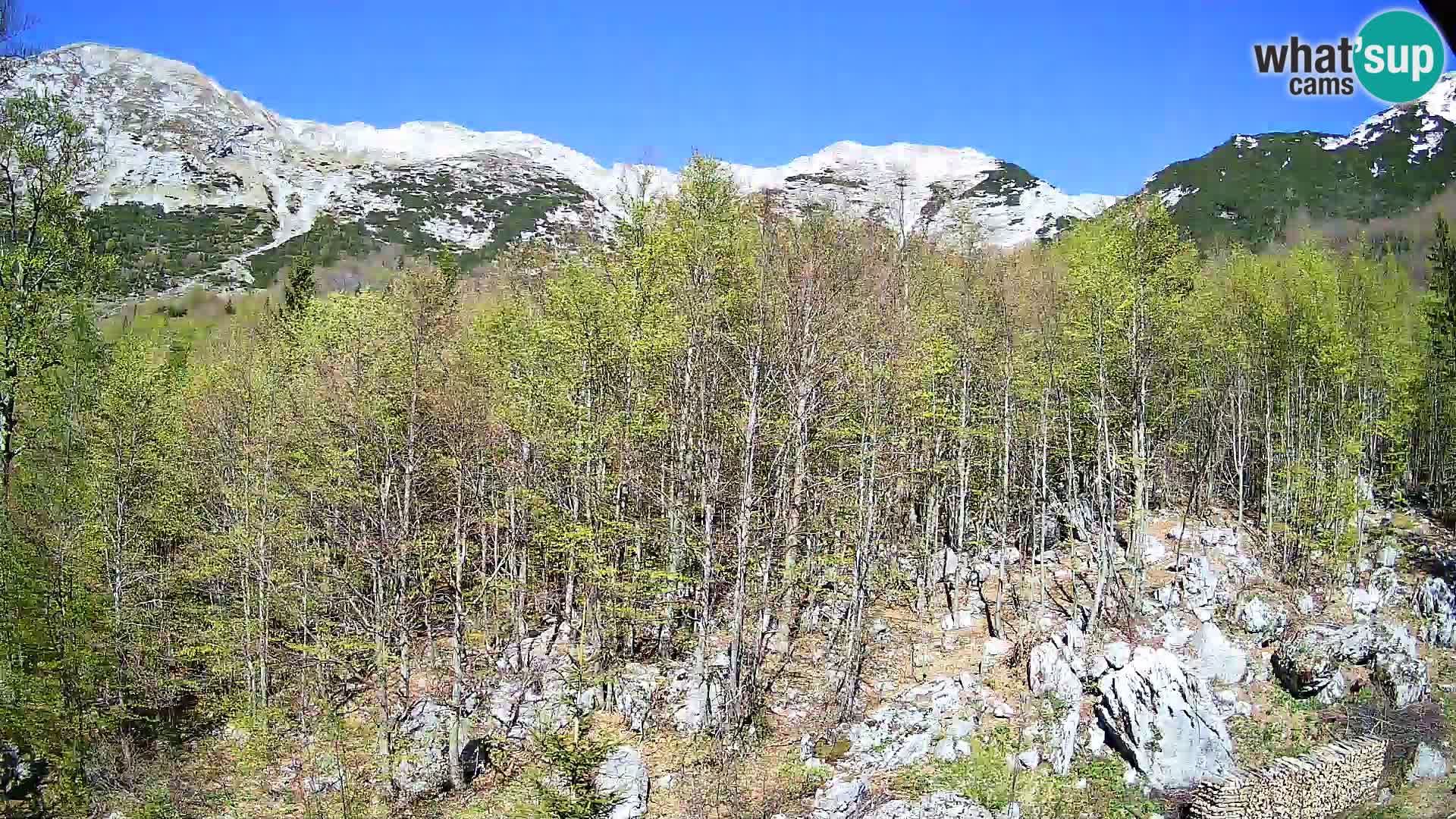 PLANINA RAZOR webcam (1315) | view to Vogel and Globoko