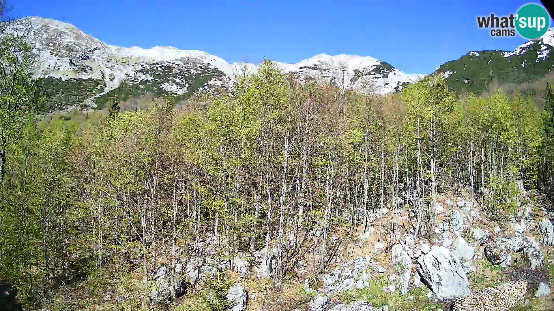 Livecam PLANINA RAZOR (1315) | vue sur Vogel et Globoko