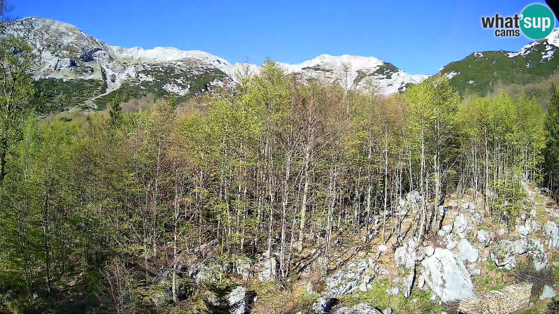 PLANINA RAZOR webcam (1315) | view to Vogel and Globoko