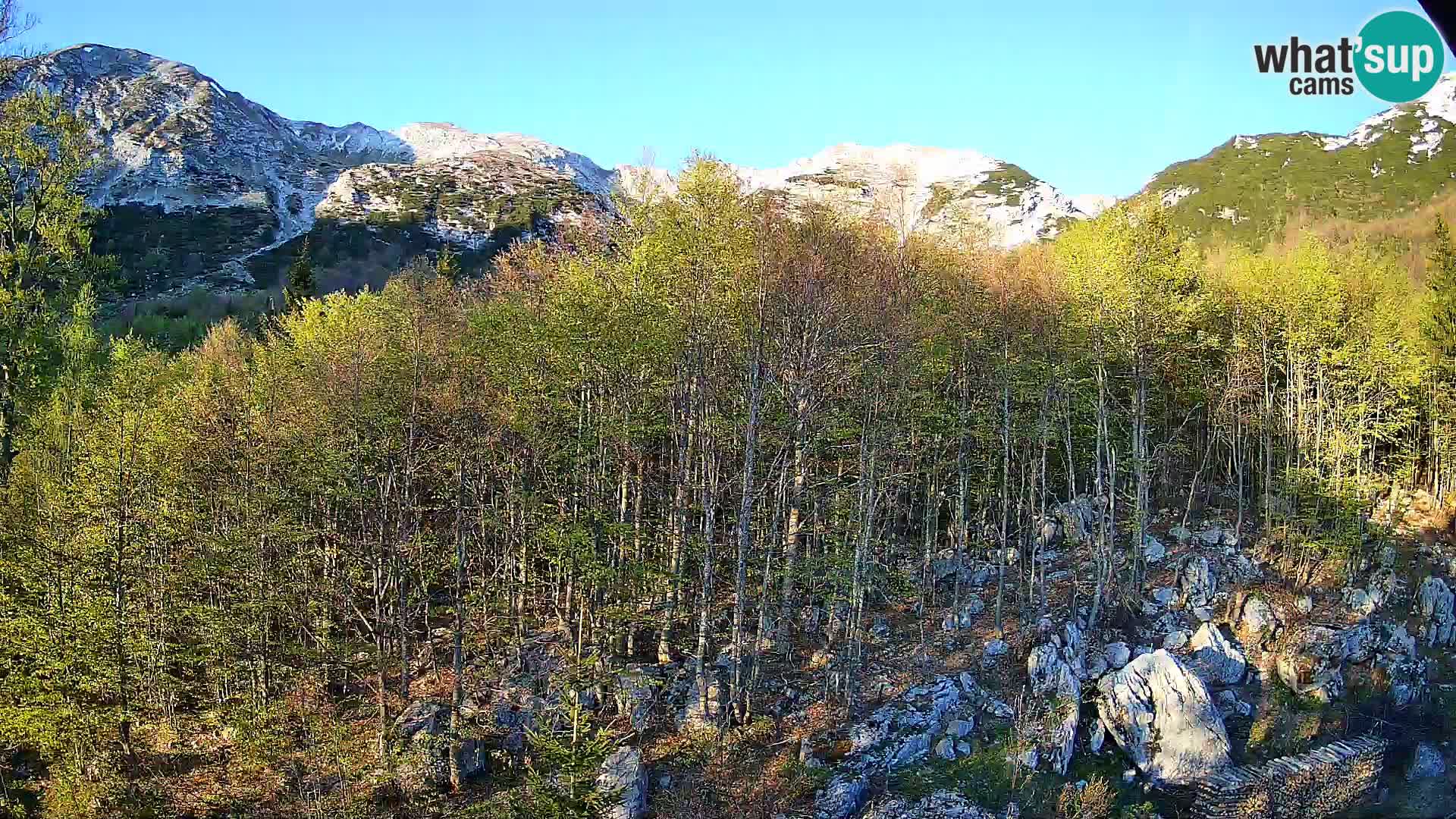 PLANINA RAZOR web kamera (1315) | pogled na Vogel i Globoko