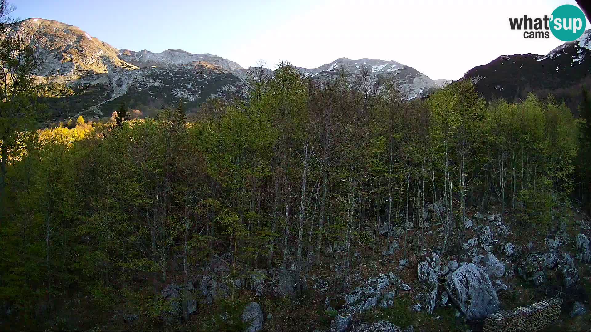Livecam PLANINA RAZOR (1315) | vue sur Vogel et Globoko