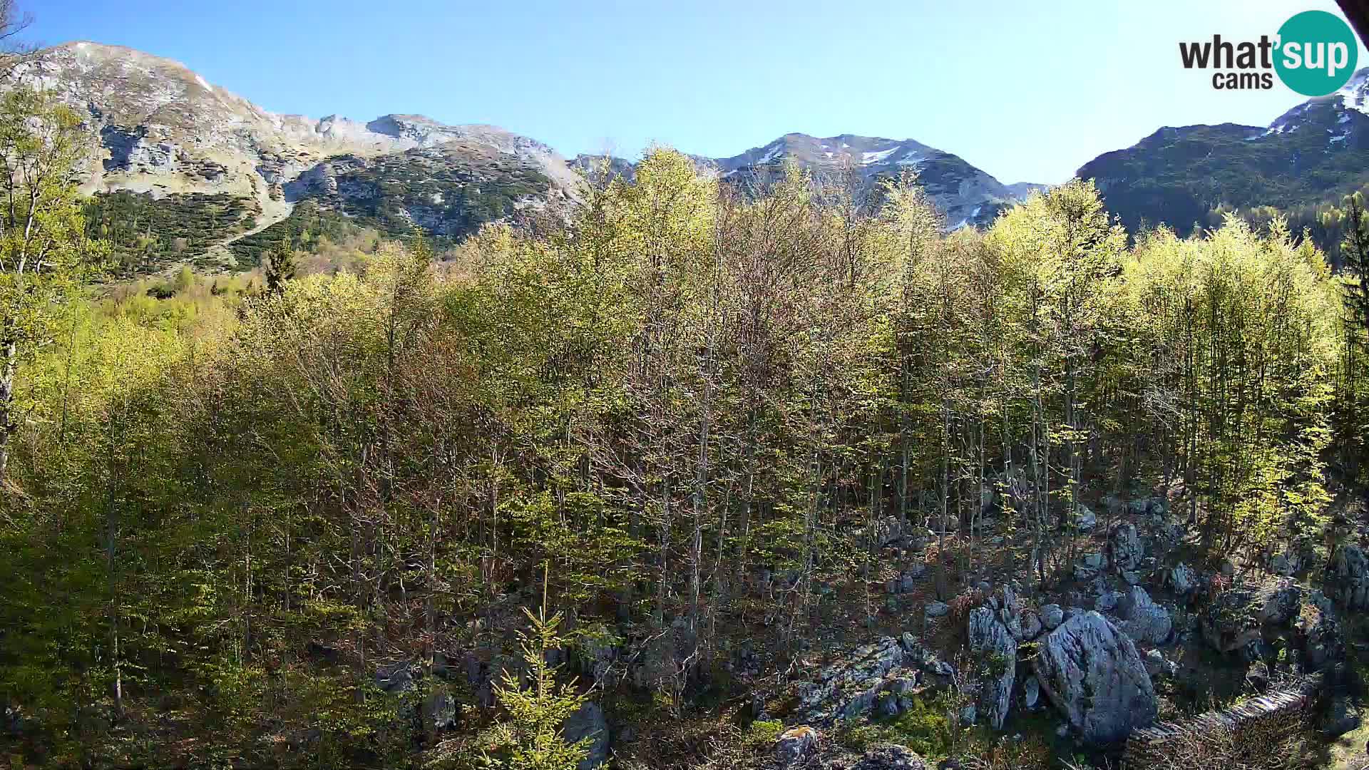 Livecam PLANINA RAZOR (1315) | vue sur Vogel et Globoko