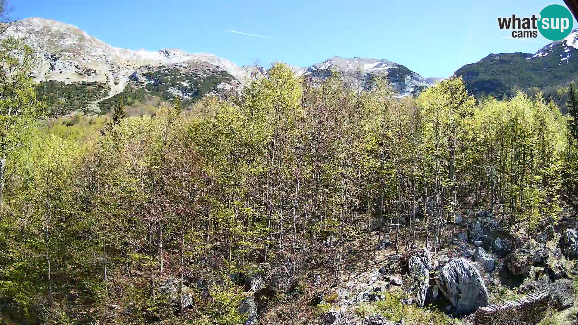 PLANINA RAZOR kamera (1315) | pogled na Vogel in Globoko