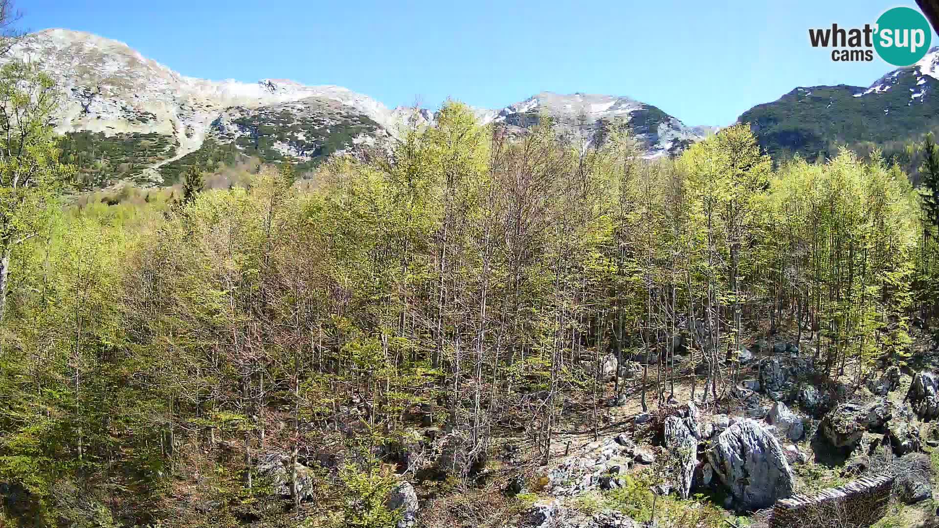 PLANINA RAZOR web kamera (1315) | pogled na Vogel i Globoko