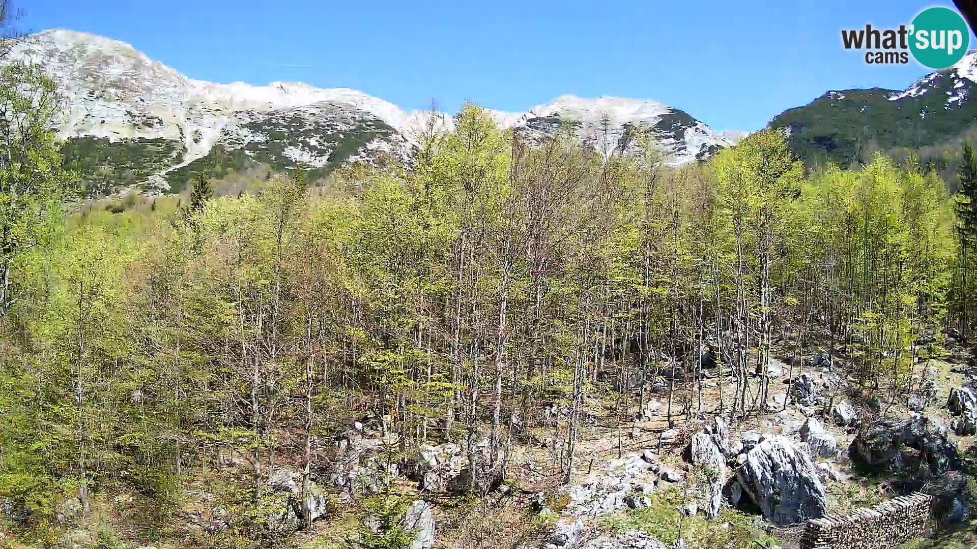 PLANINA RAZOR Live Cam (1315) | vista su Vogel e Globoko