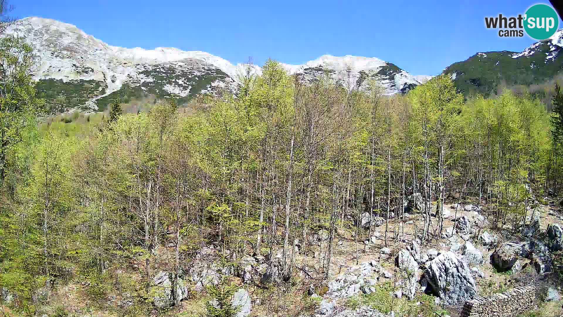 PLANINA RAZOR Live Cam (1315) | vista su Vogel e Globoko
