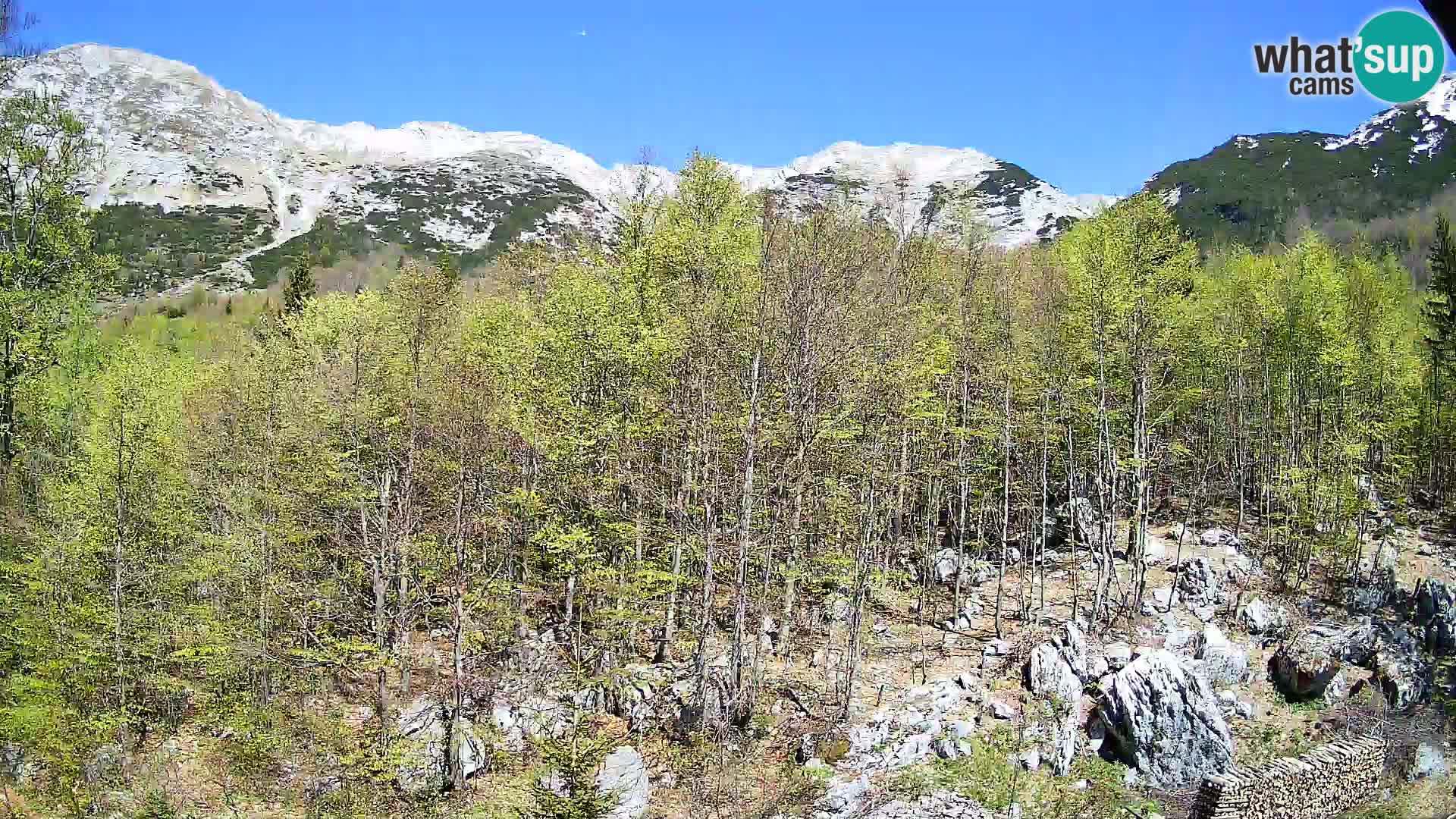 PLANINA RAZOR web kamera (1315) | pogled na Vogel i Globoko