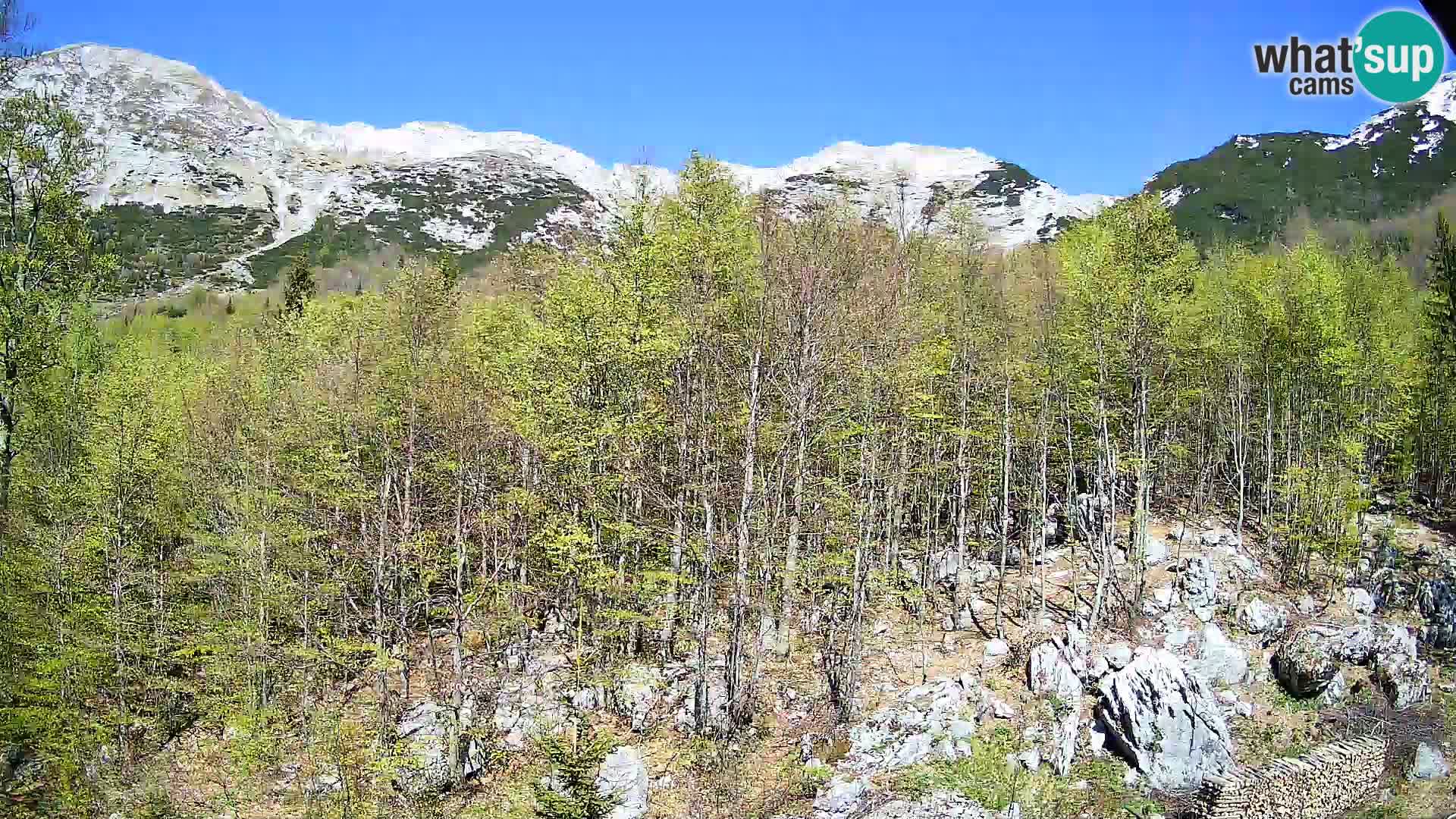 PLANINA RAZOR Live Cam (1315) | vista su Vogel e Globoko