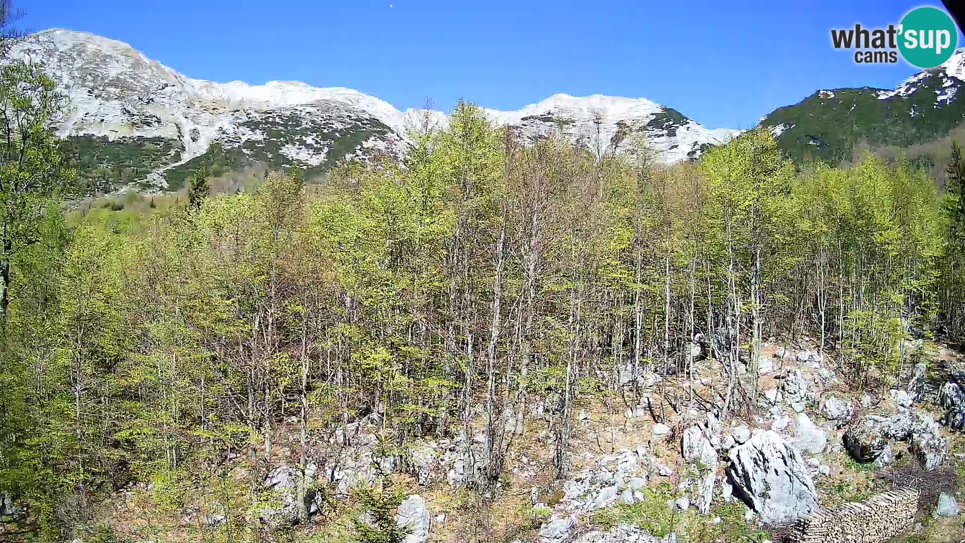 PLANINA RAZOR web kamera (1315) | pogled na Vogel i Globoko