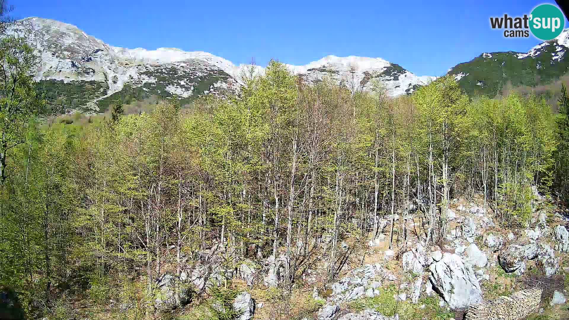Cámara web PLANINA RAZOR (1315) | vista a Vogel y Globoko